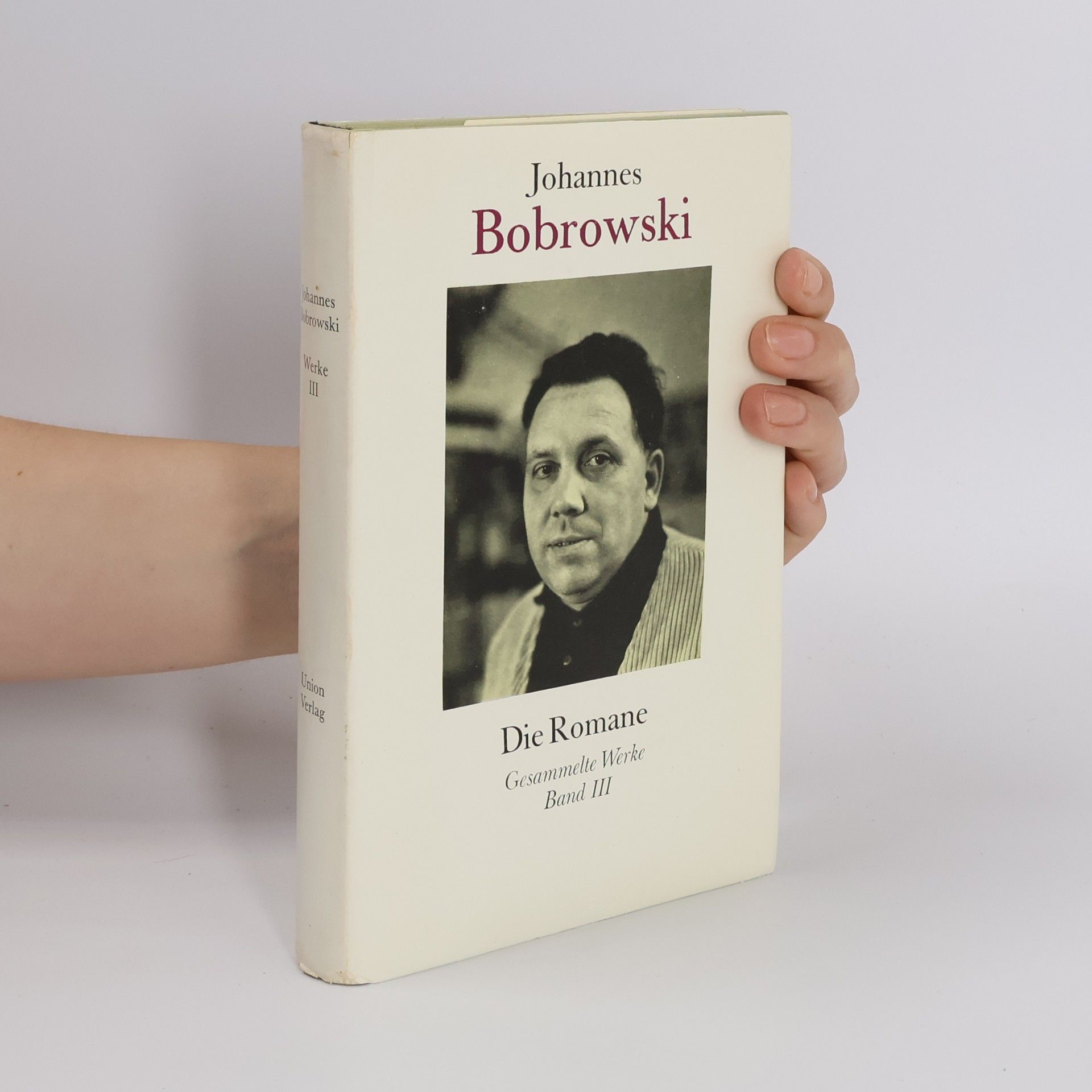 Johannes Bobrowski Die Romane