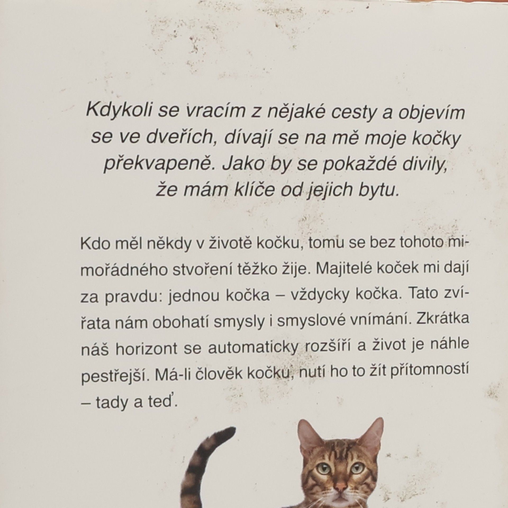 Hape Kerkeling Moje kočky, cizí kočky a já: průvodce životem pro kočkomily