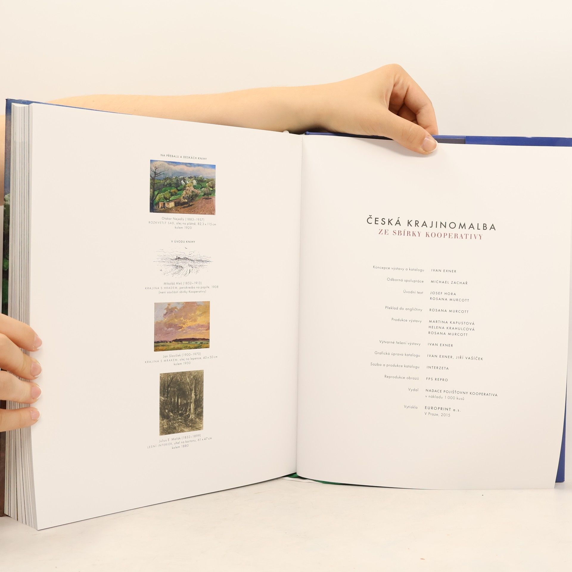 Josef Hora Česká krajinomalba ze sbírky Kooperativy : katalog výstavy Česká krajinomalba