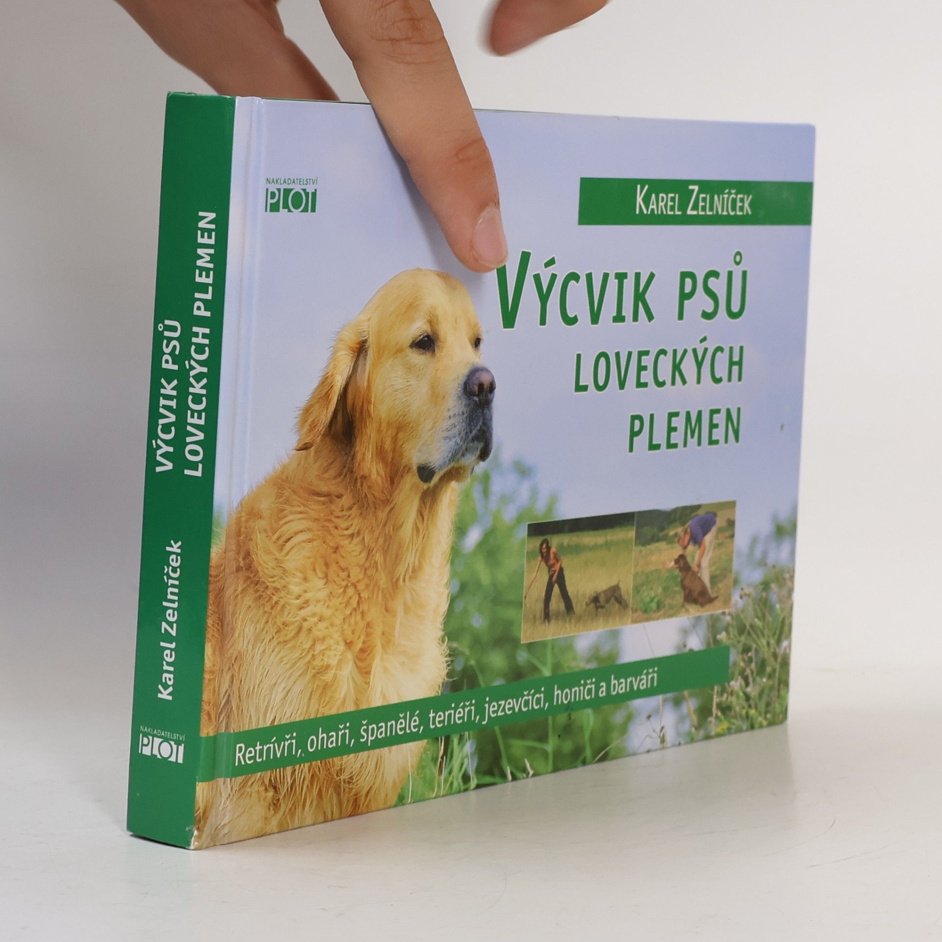 Výcvik psů loveckých plemen