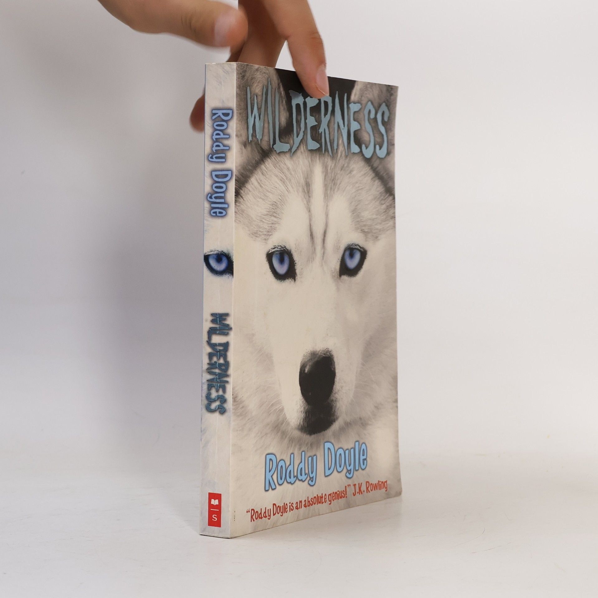 Roddy Doyle Wilderness