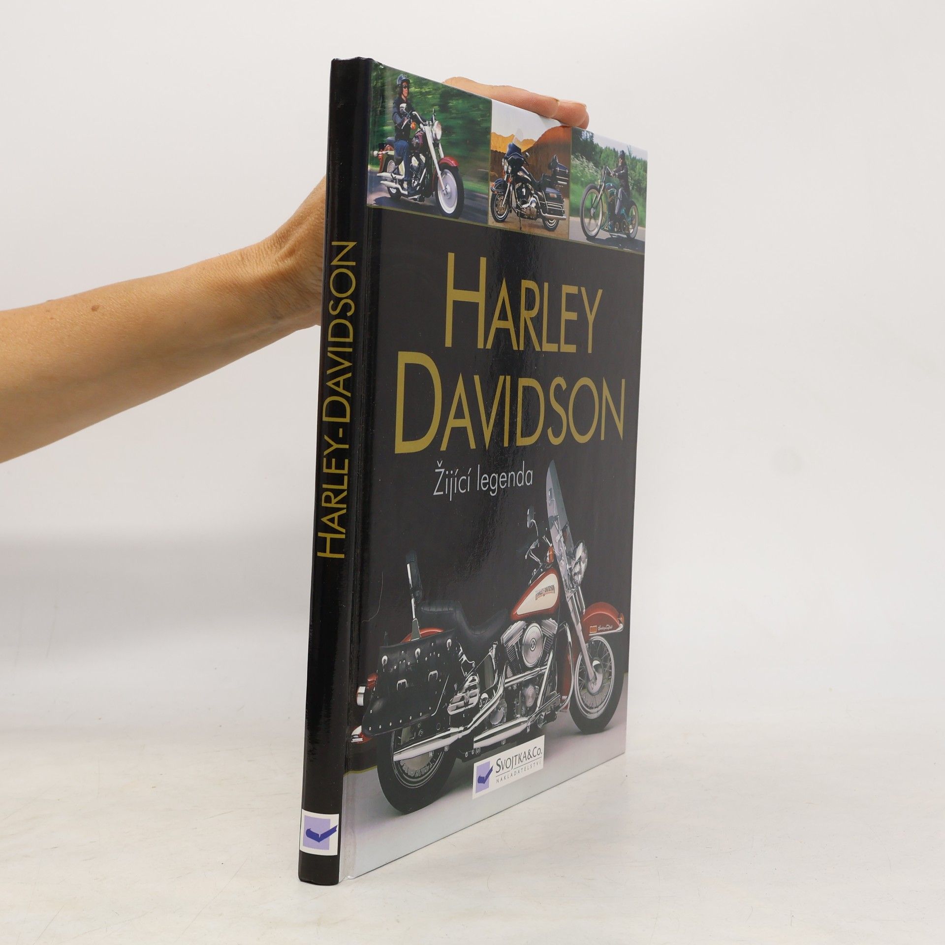 Johnny Leyla Žijící legenda. Dějiny značky Harley-Davidson