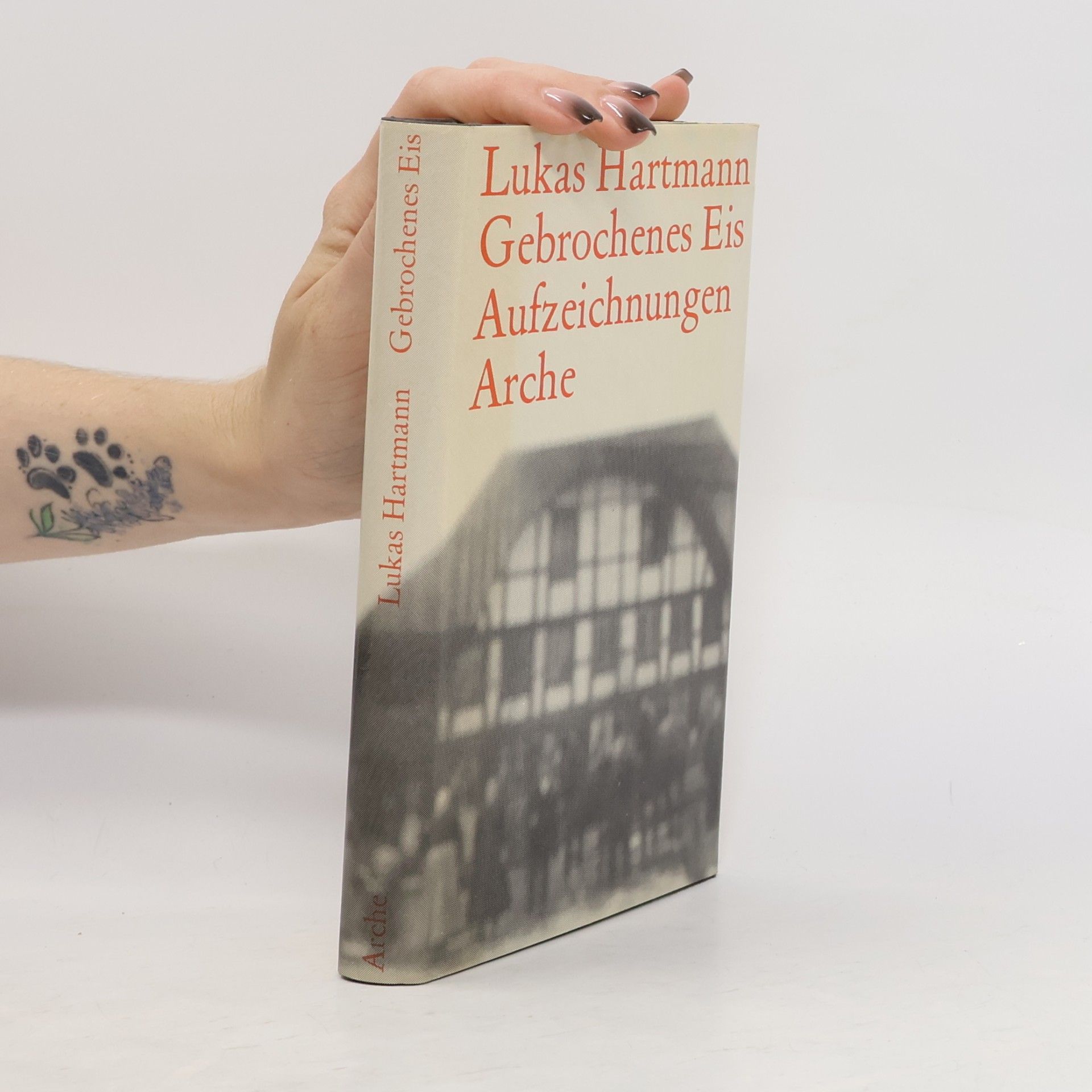 Lukas Hartmann Gebrochenes Eis