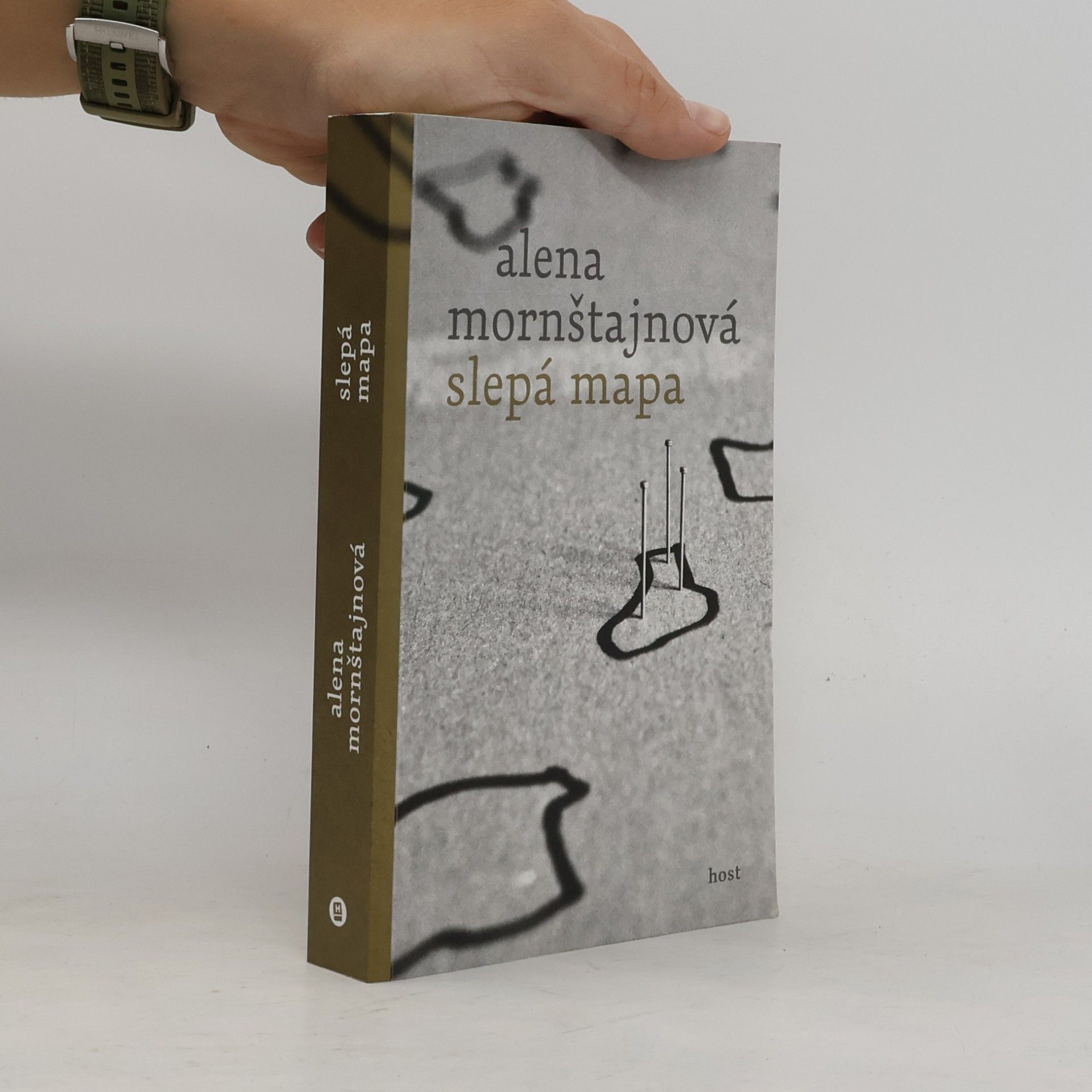 Alena Mornštajnová Slepá mapa