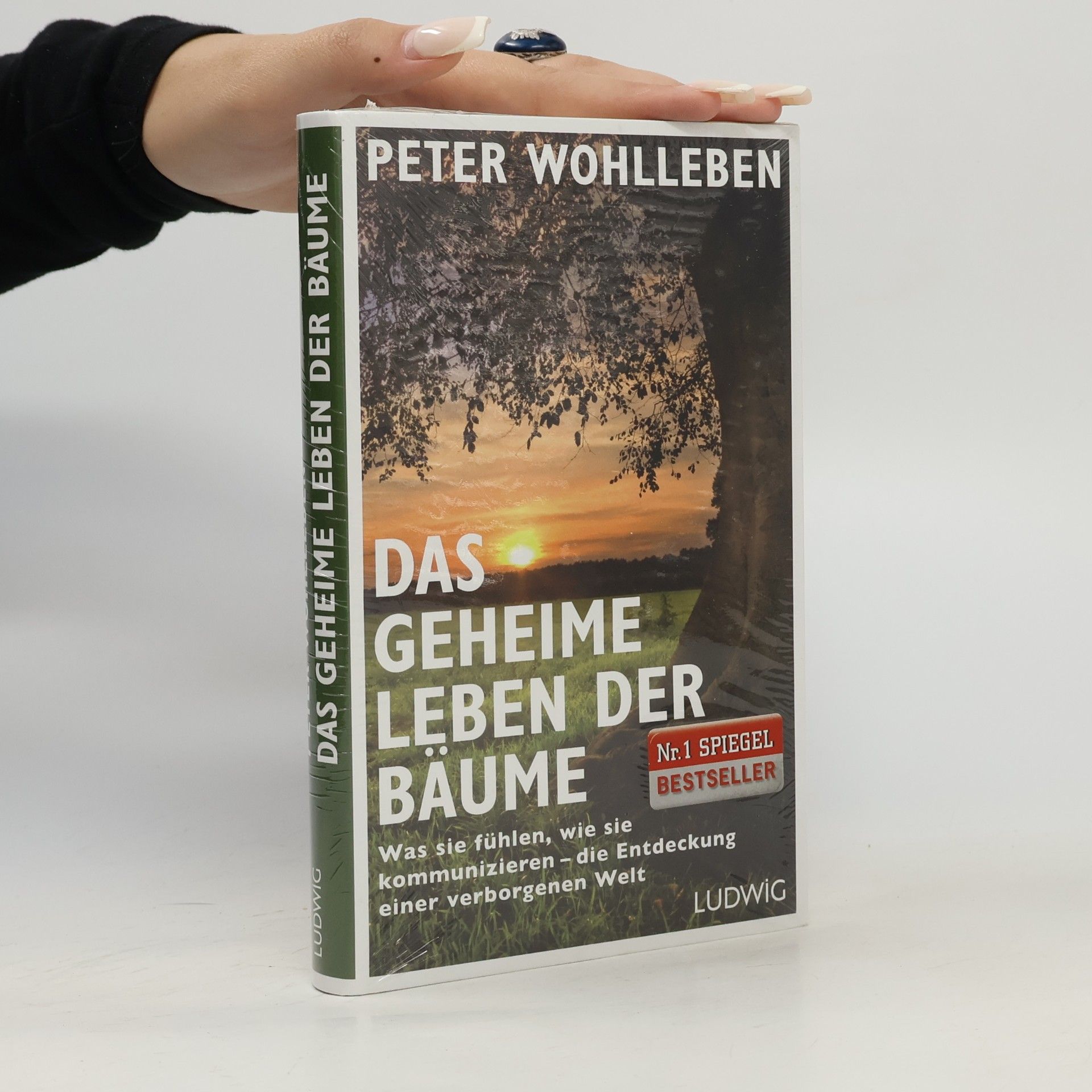 Peter Wohlleben Das geheime Leben der Bäume