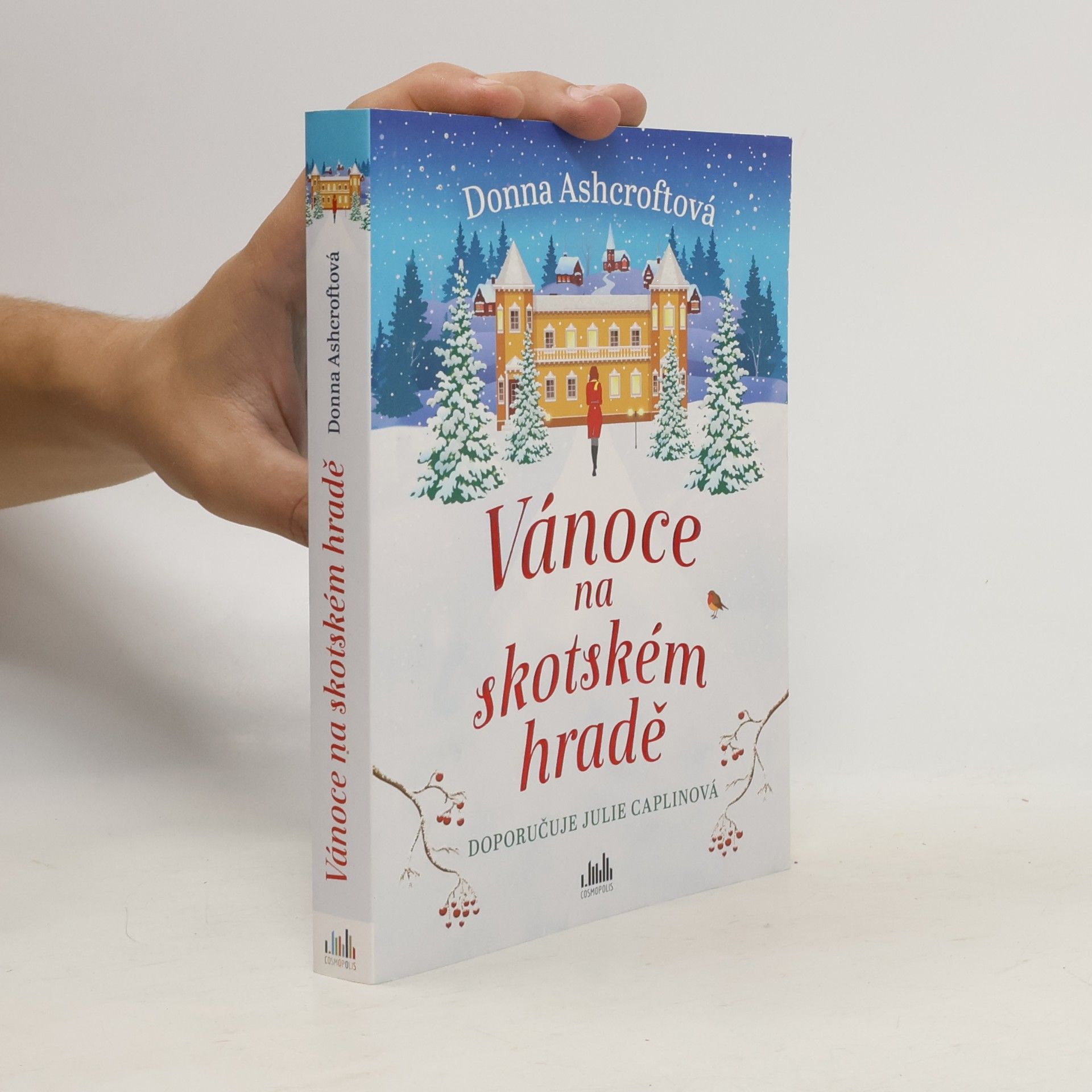 Donna Ashcroft Vánoce na skotském hradě
