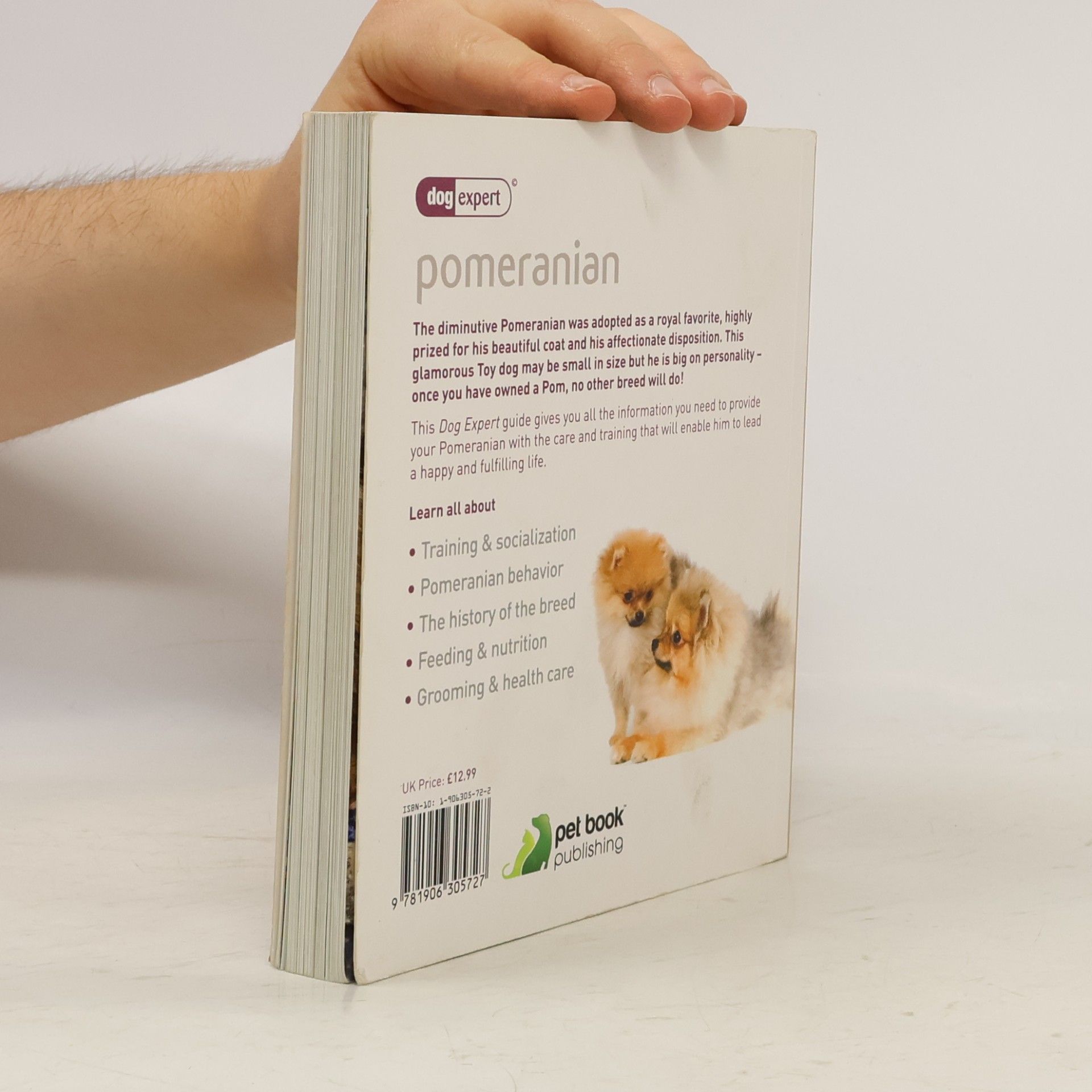 Jacqueline Gray Pomeranian - Dog Expert