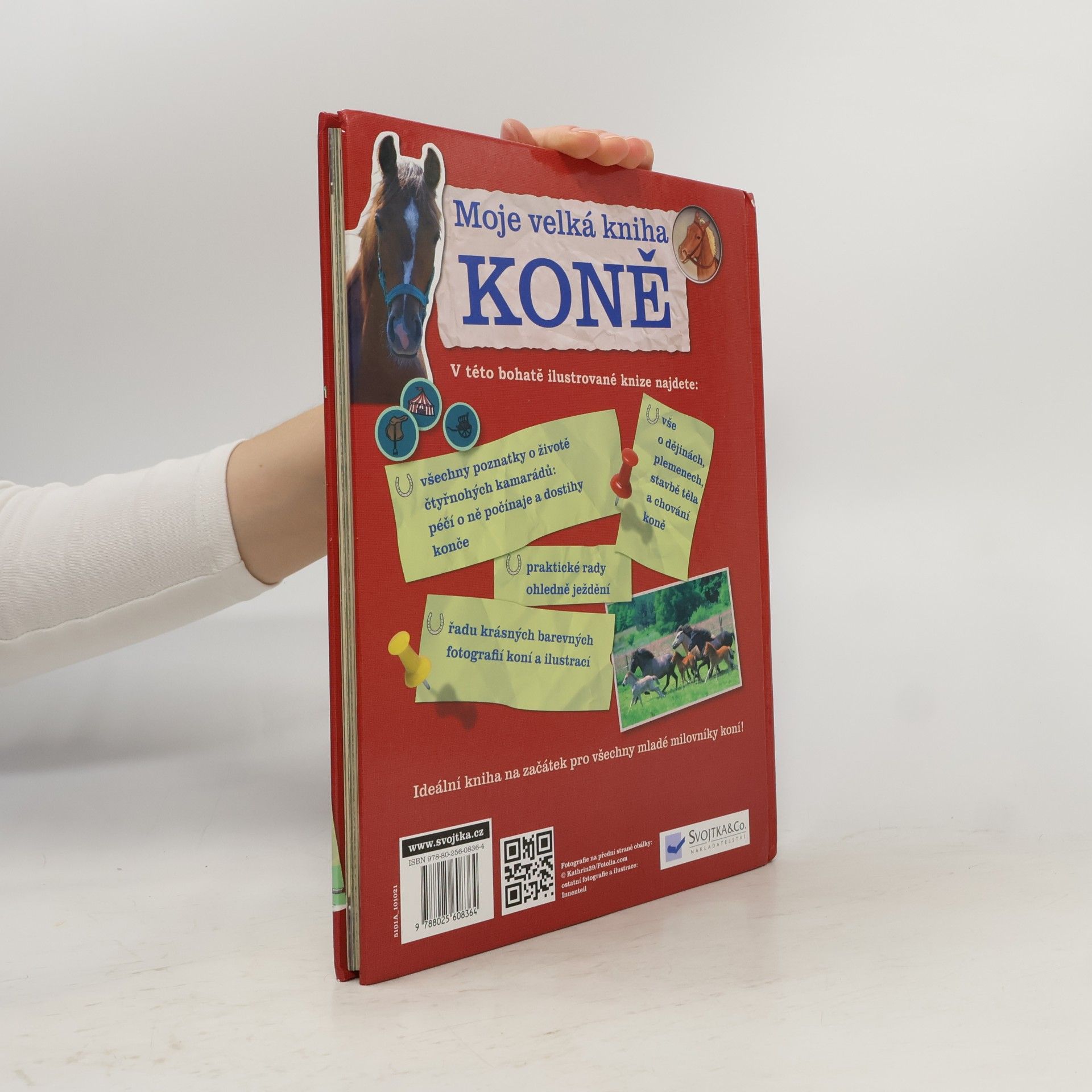 Giada Riondino Moje velká kniha: Koně