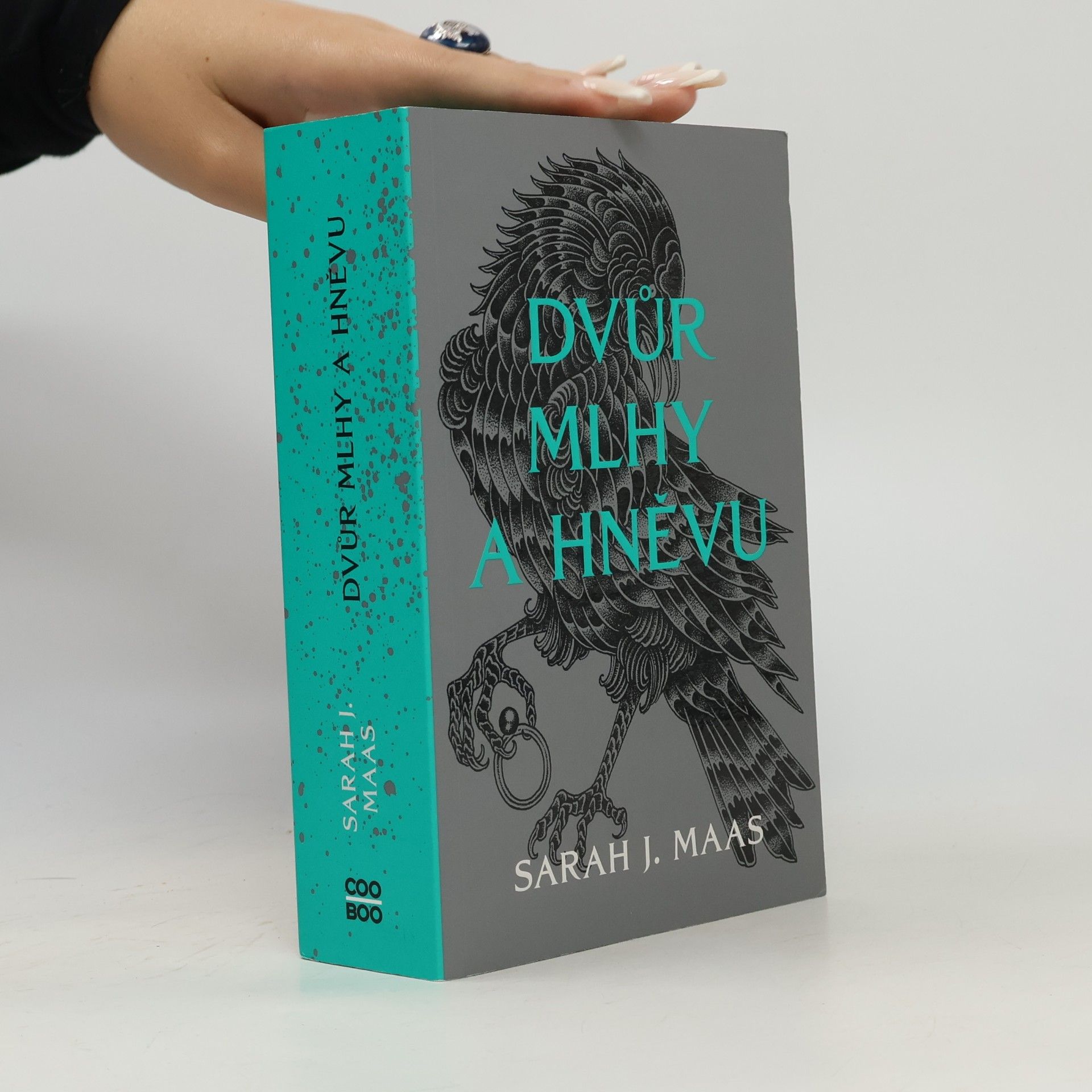 Sarah J. Maasová Dvůr mlhy a hněvu