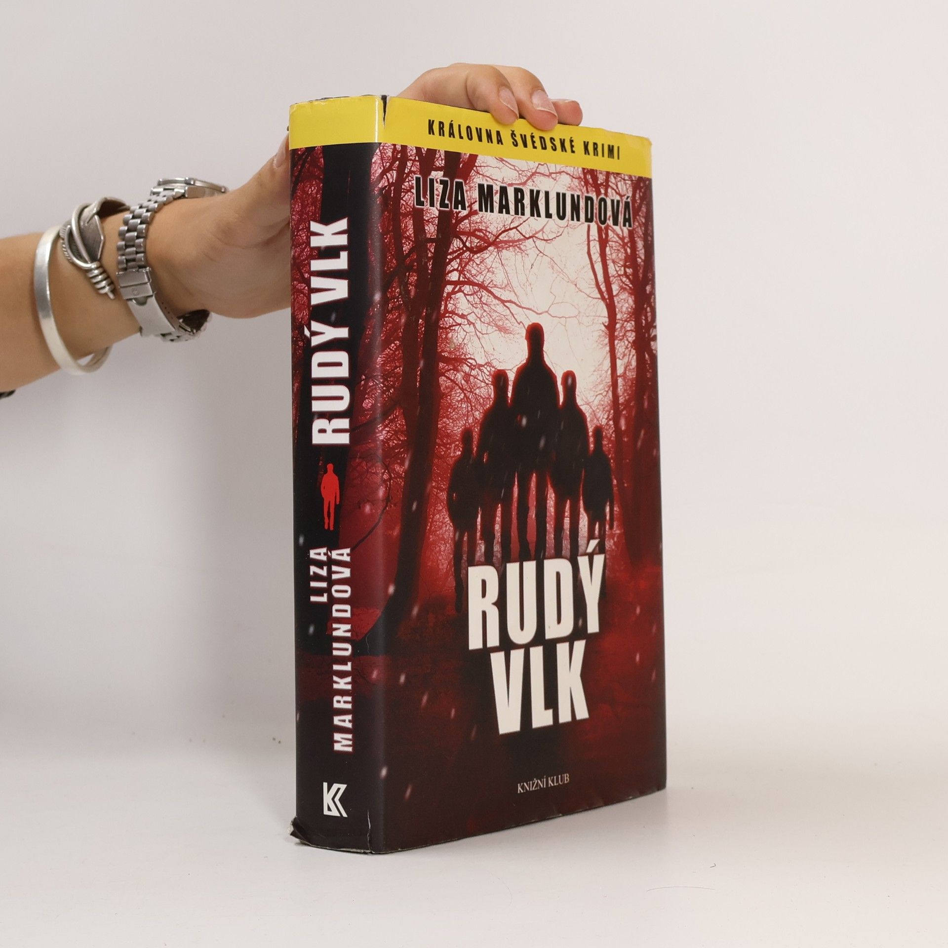 Liza Marklund Rudý vlk