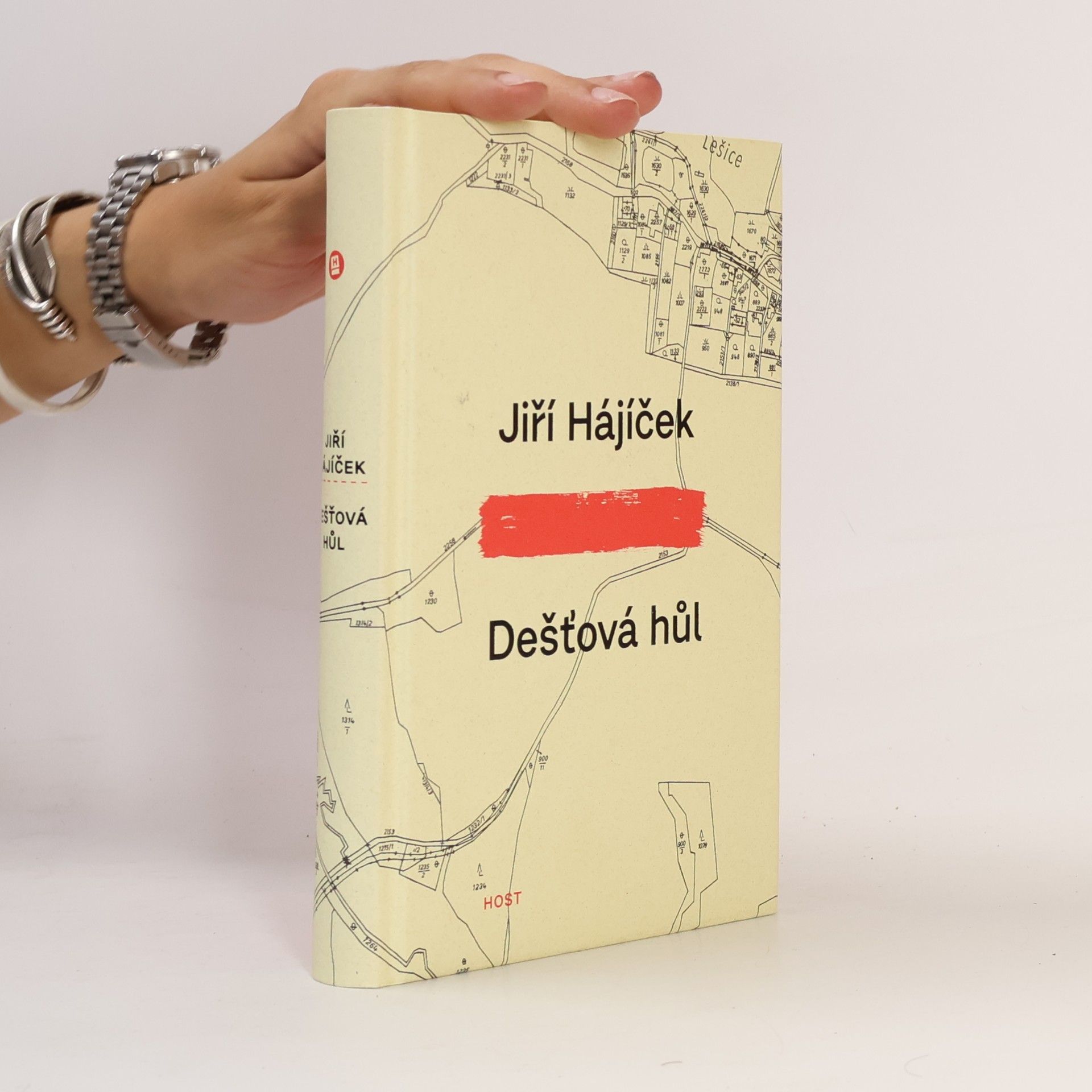Jiří Hájíček Dešťová hůl
