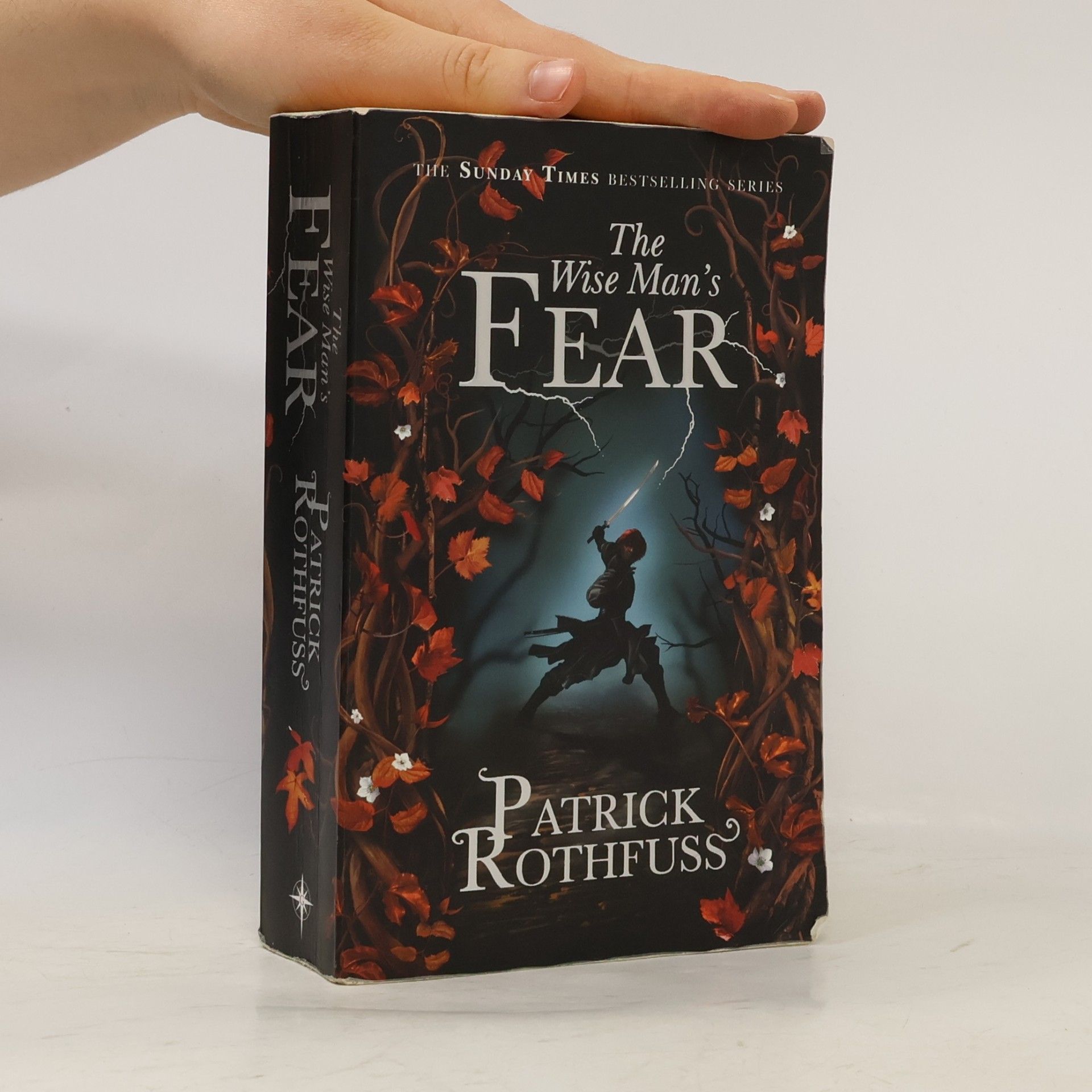 Patrick Rothfuss The Wise Man's Fear