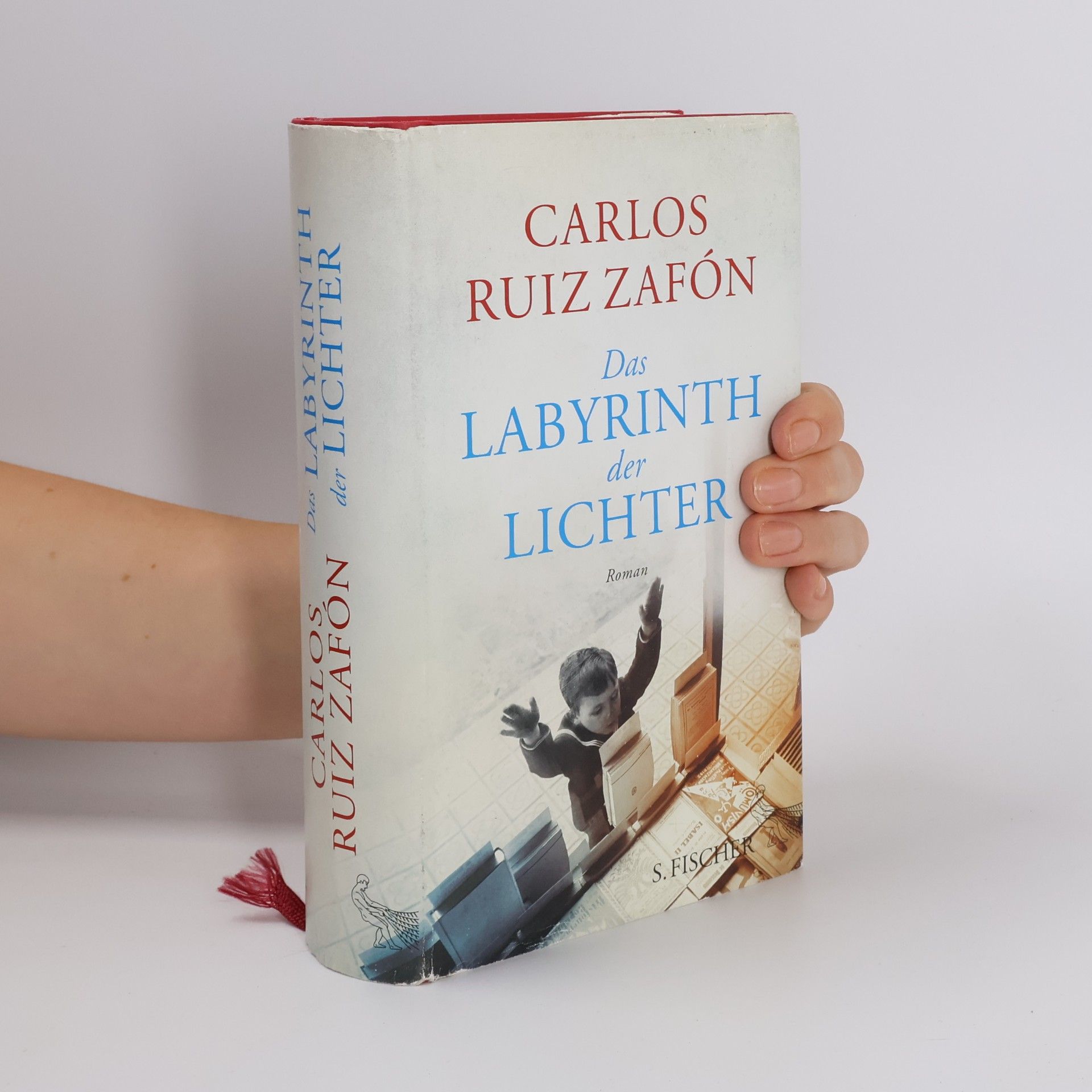 Carlos Ruiz Zafón Das Labyrinth der Lichter
