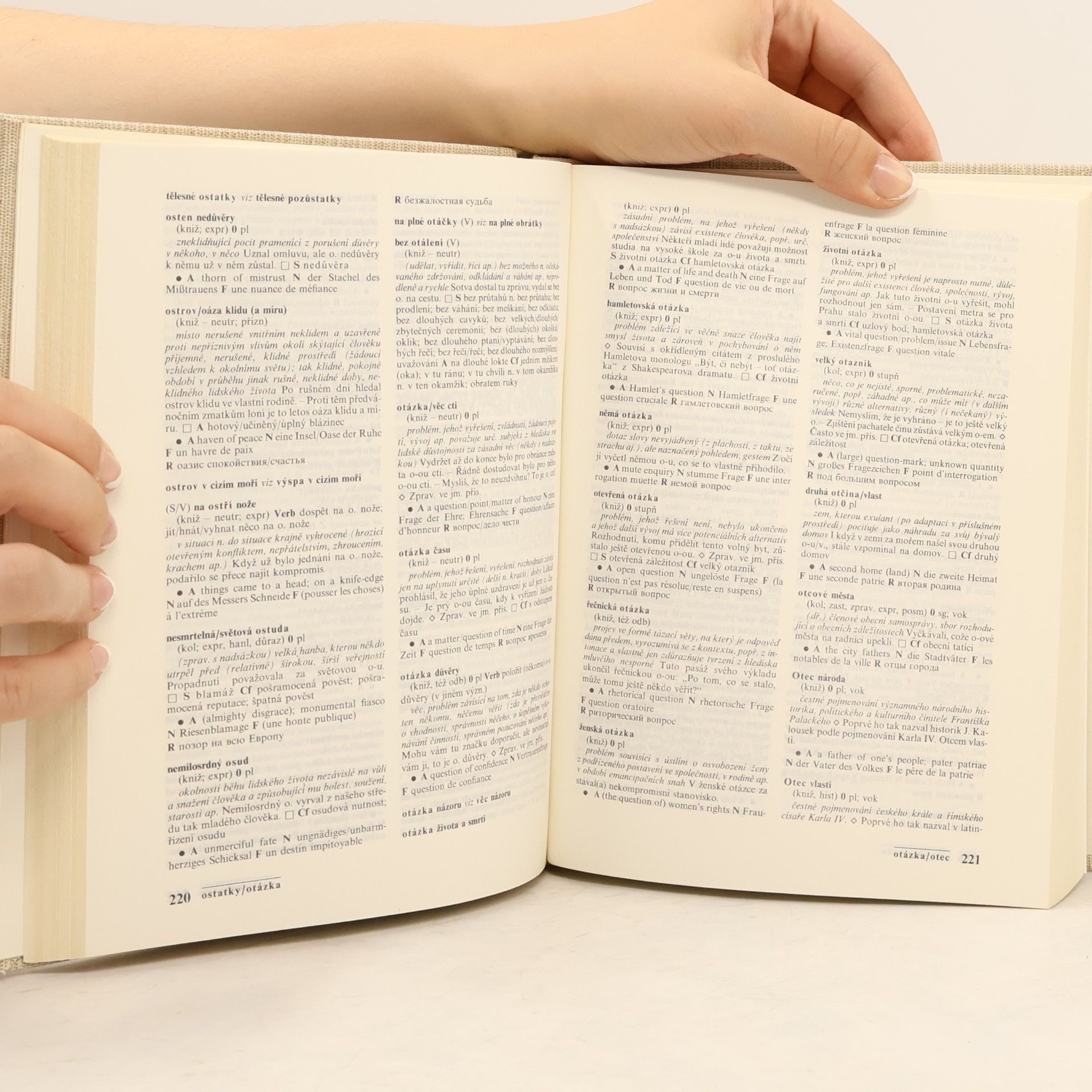 František Čermák Slovník české frazeologie a idiomatiky. Výrazy neslovesné