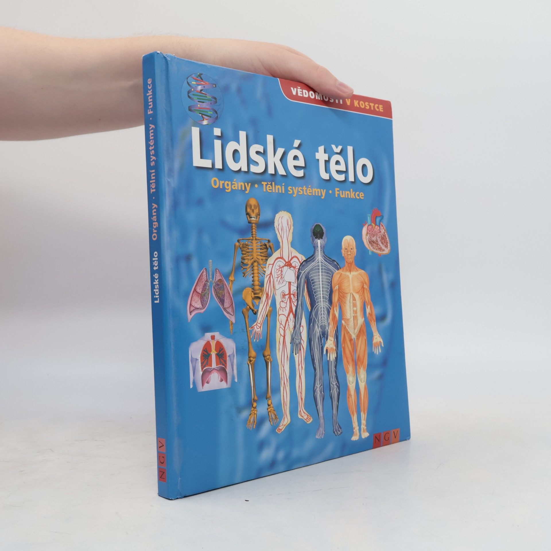 Autorenkollektiv Lidské tělo. Orgány. Tělní systémy. Funkce