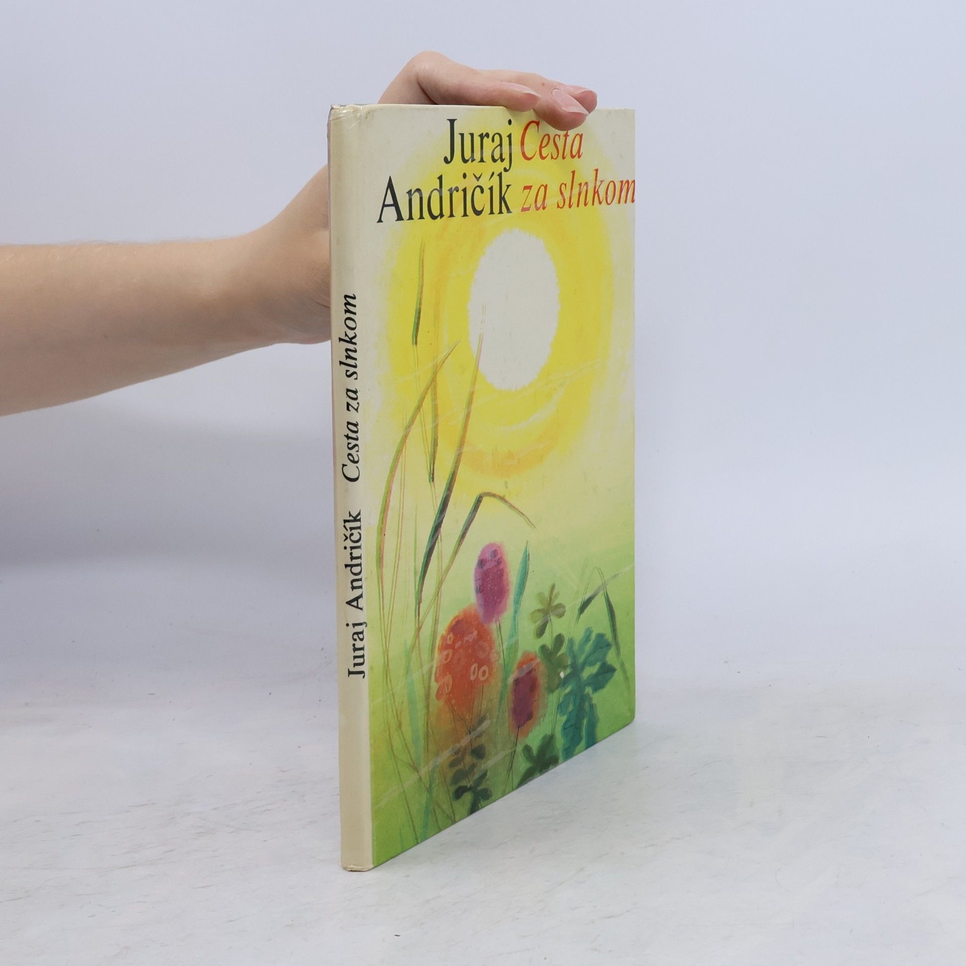 Juraj Andričík Cesta za slnkom