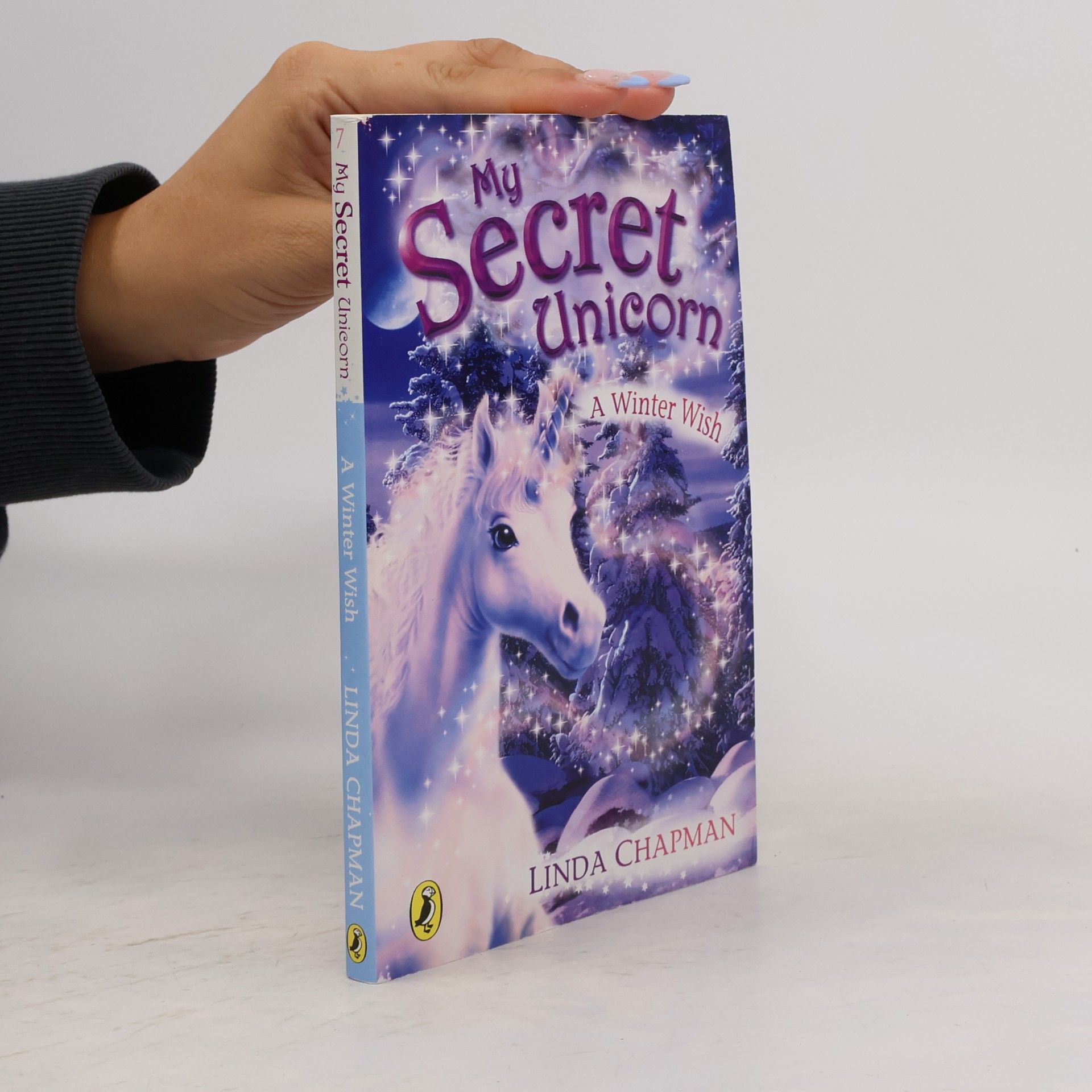 Linda Champan My Secret Unicorn: A Winter Wish