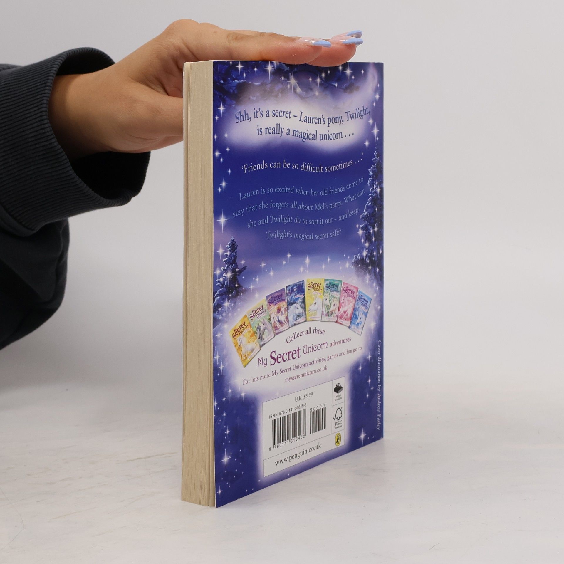 Linda Champan My Secret Unicorn: A Winter Wish