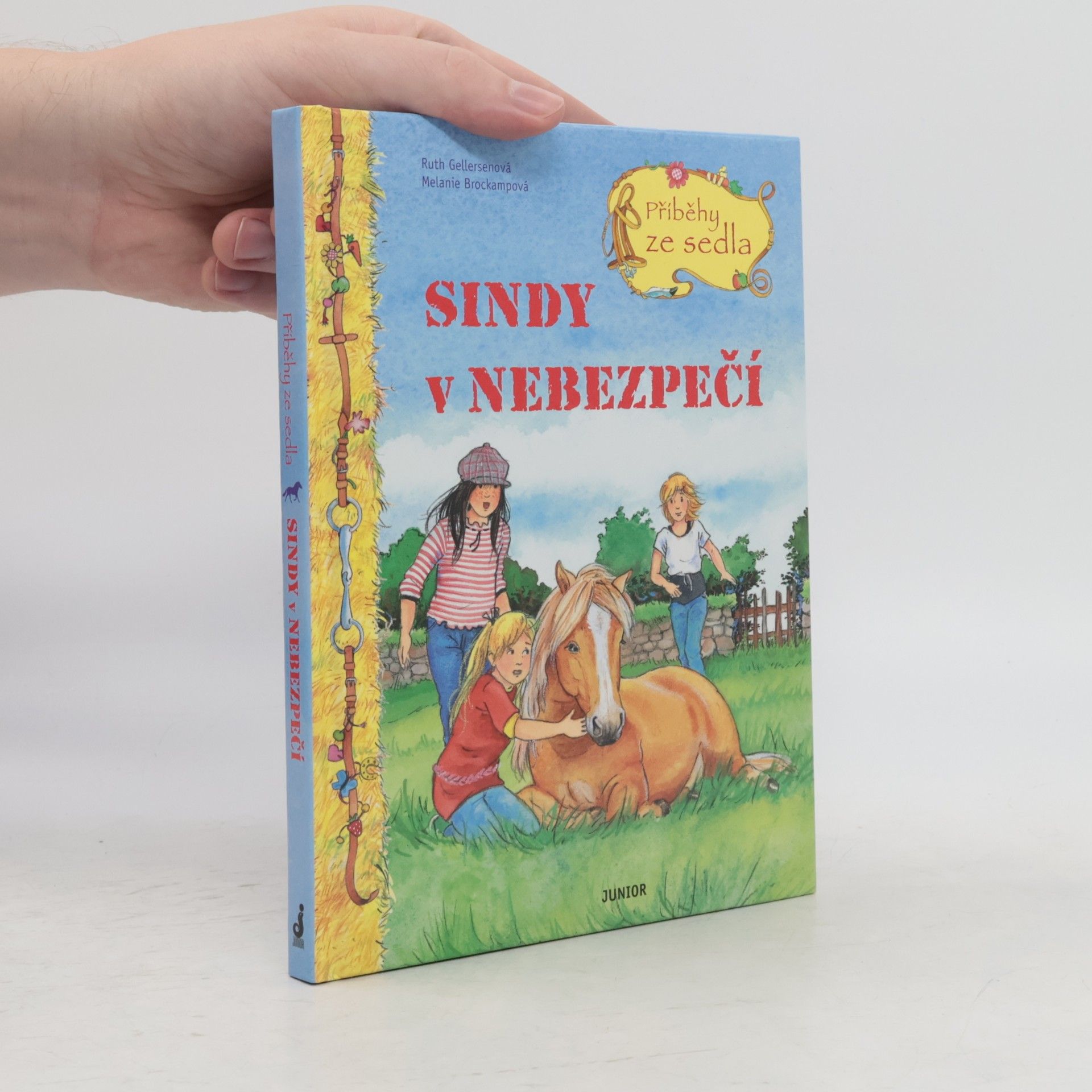 Sindy v nebezpečí