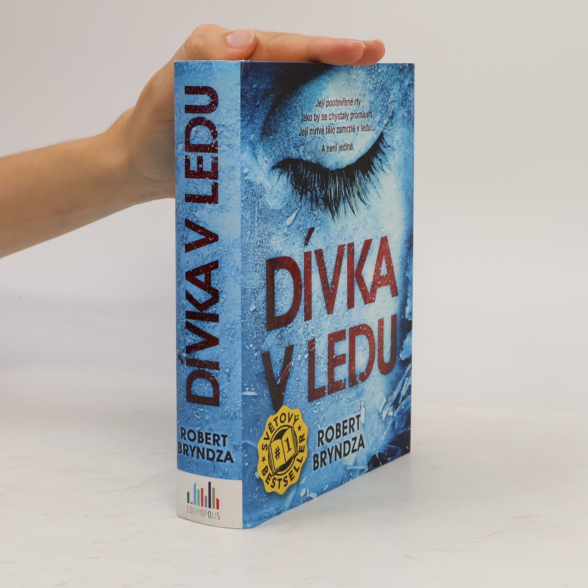 Robert Bryndza Dívka v ledu