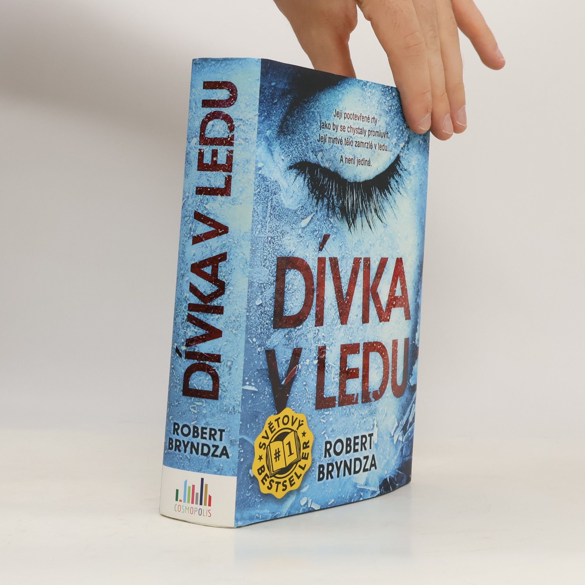 Robert Bryndza Dívka v ledu