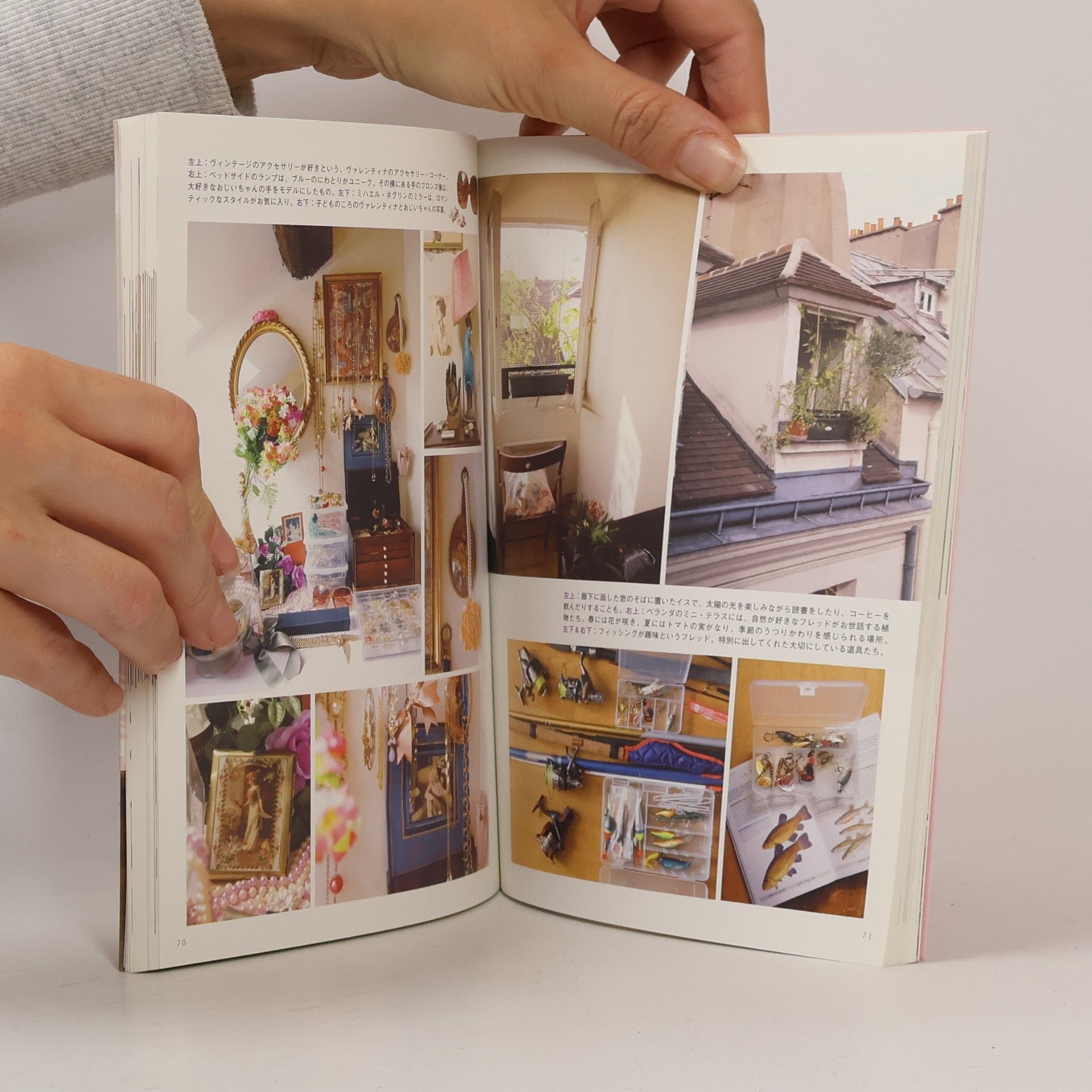 Dominique Paumès CauBareille Apartment lovers of Paris ISBN