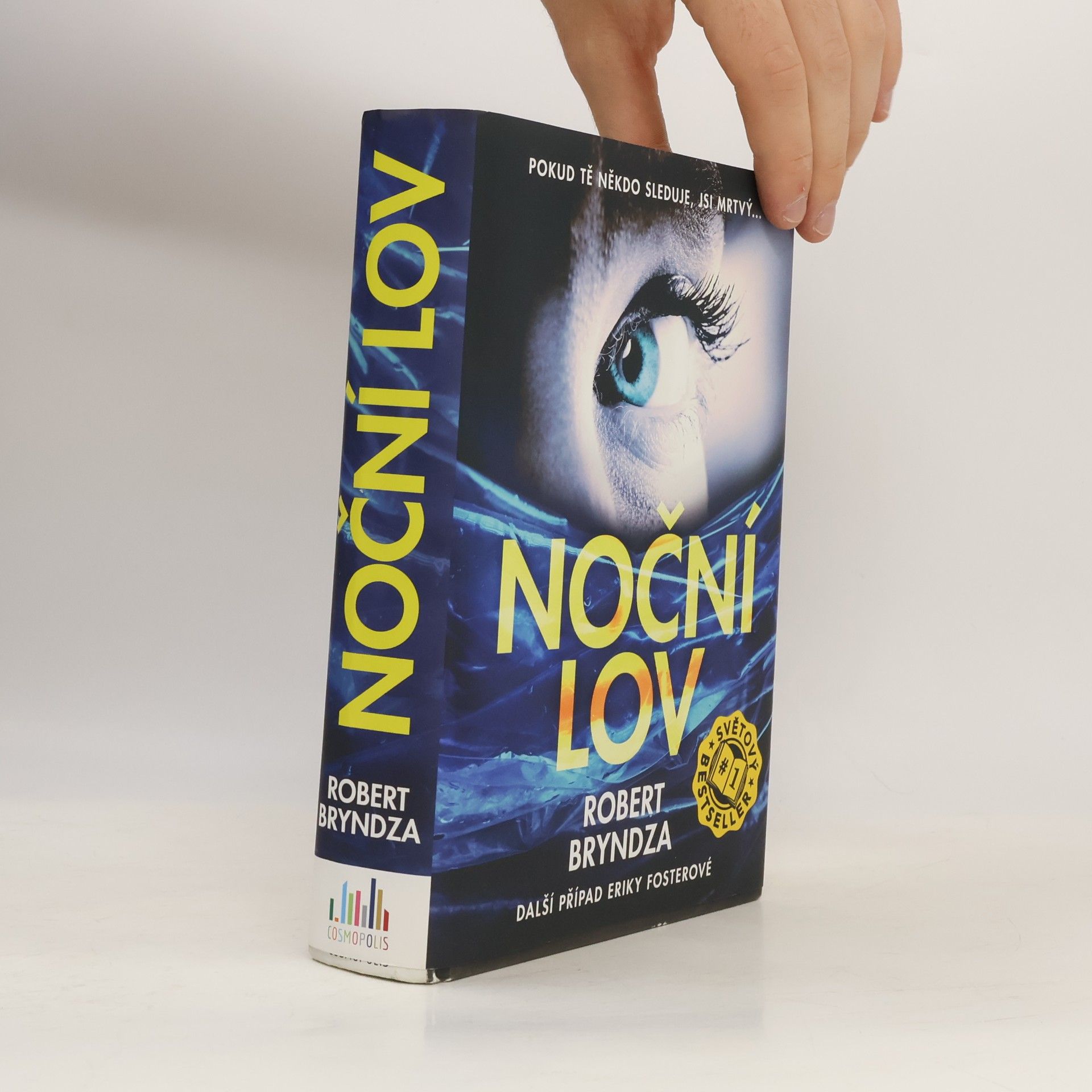 Robert Bryndza Noční lov