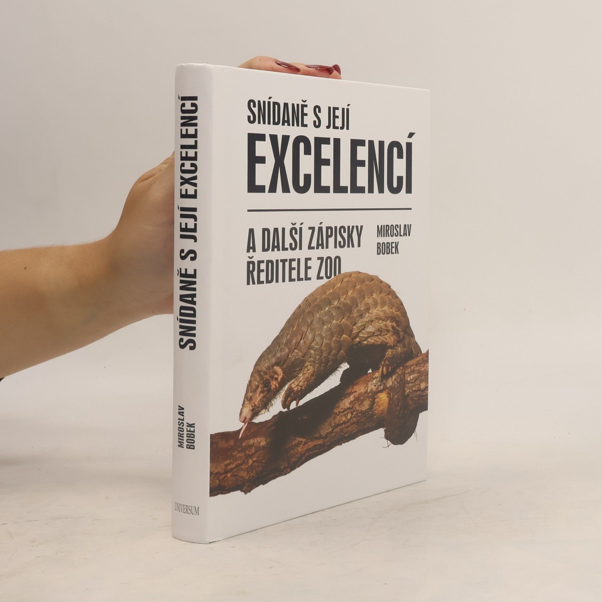Miroslav Bobek Snídaně s její excelencí