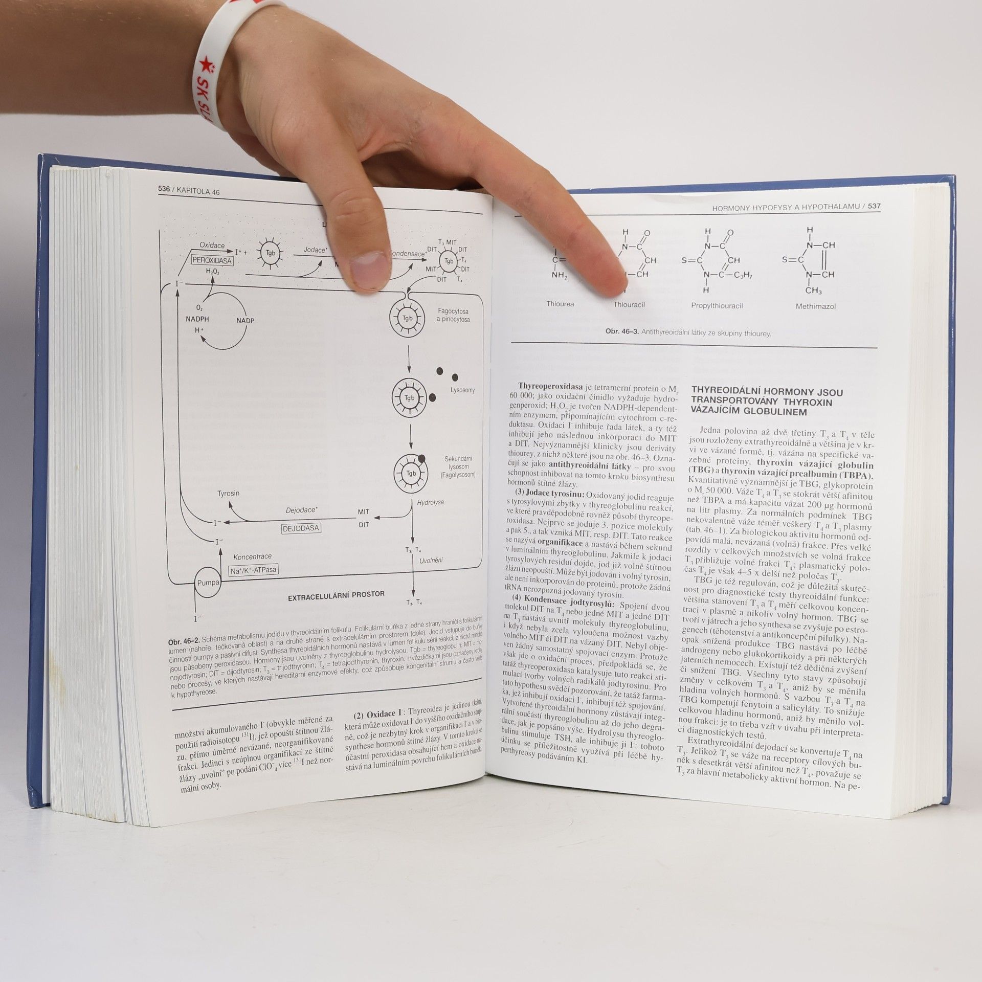 Kolektiv autorů Harperova biochemie