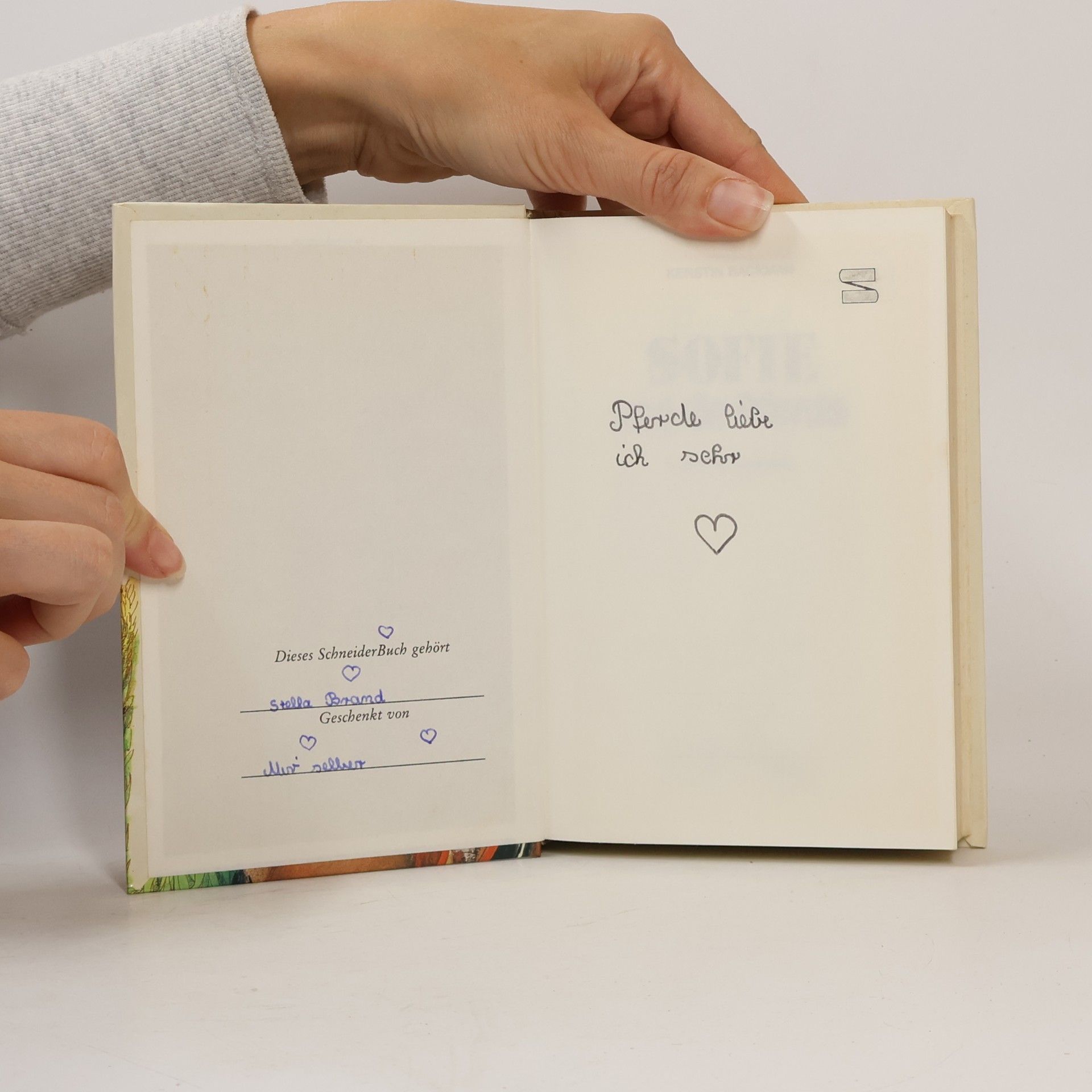 Kerstin Backman Sofie und die Pferde