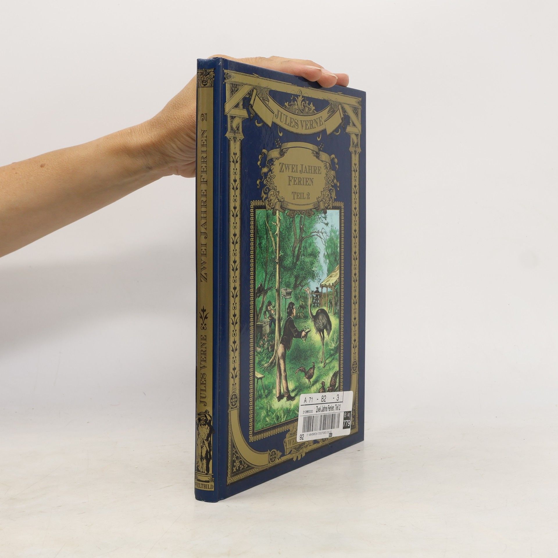 Jules Verne Zwei Jahre Ferien 2