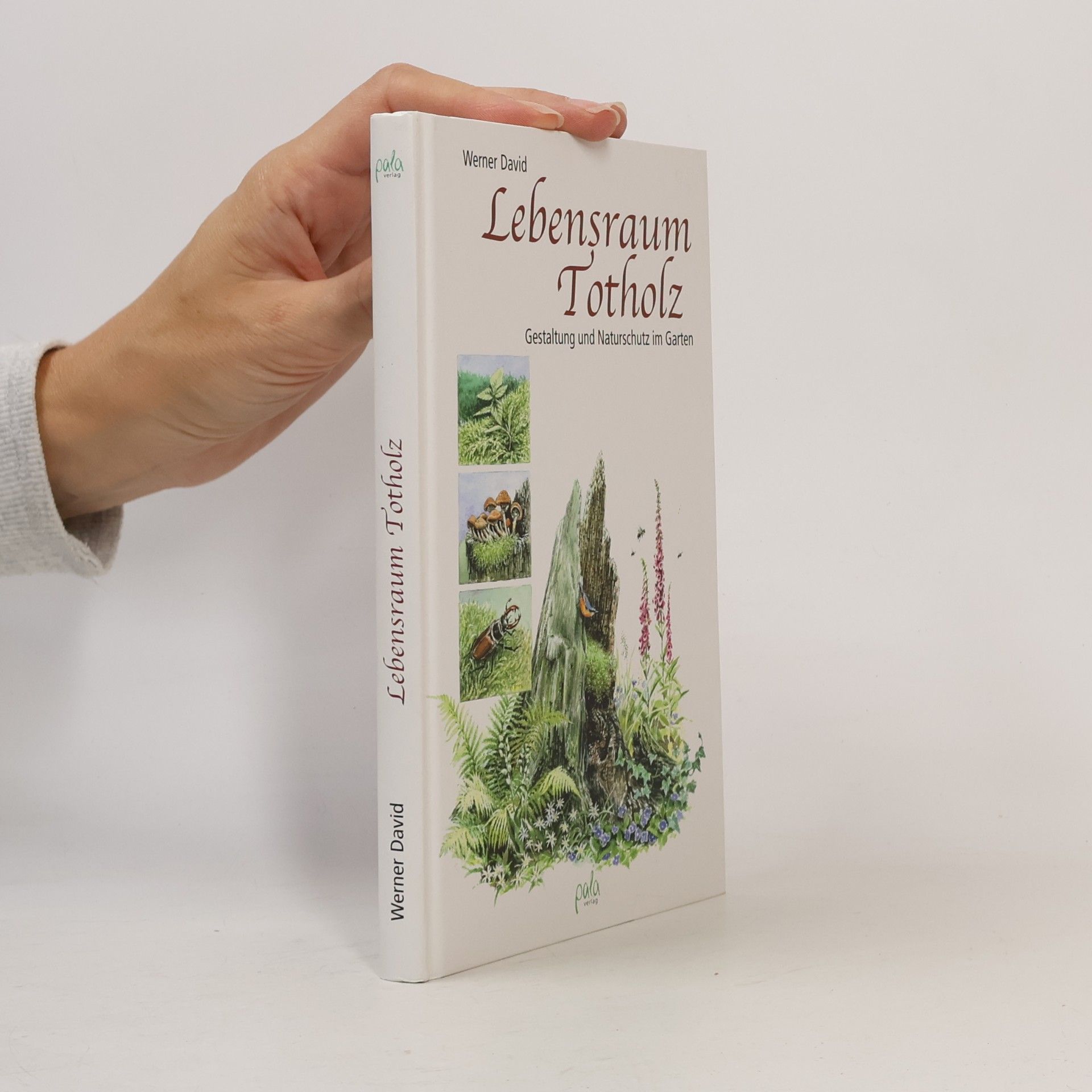 Lebensraum Totholz