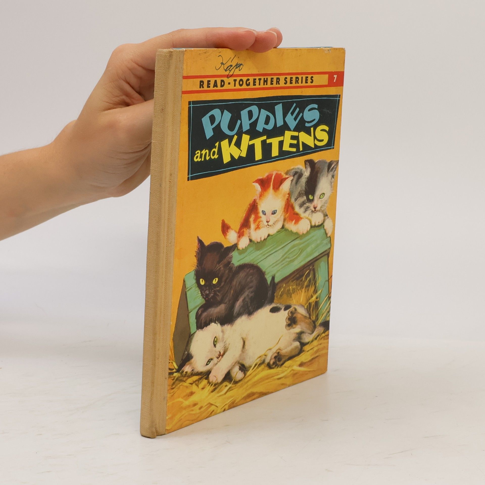 Kathleen Daly Puppies and Kittens