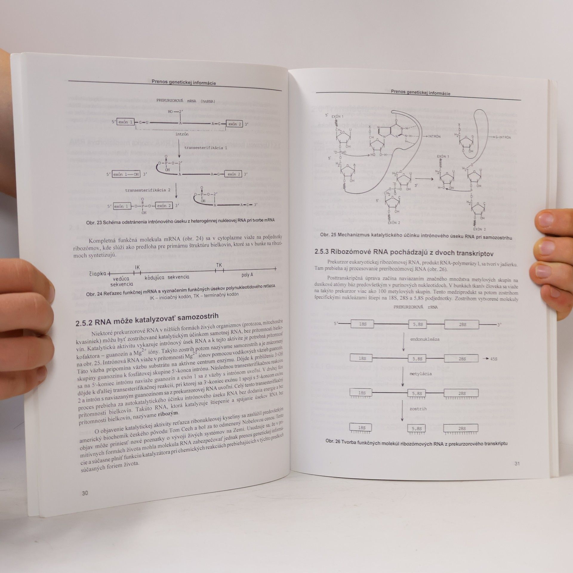 Lukáč Halčák Biochemické aspekty prenosu genetickej informácie