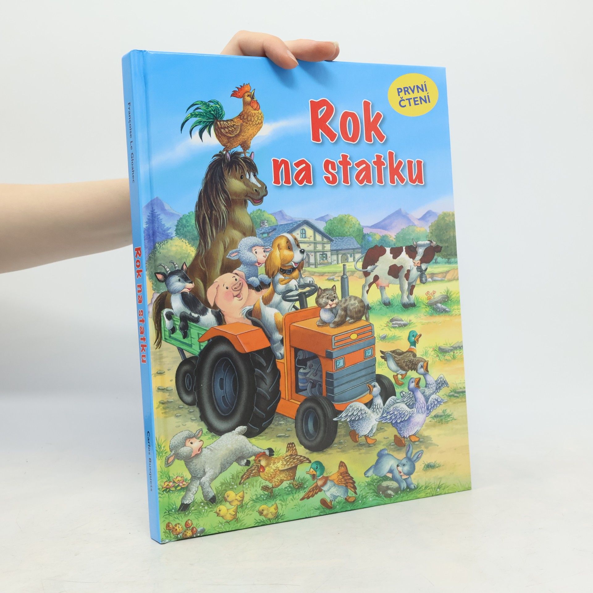 Rok na statku
