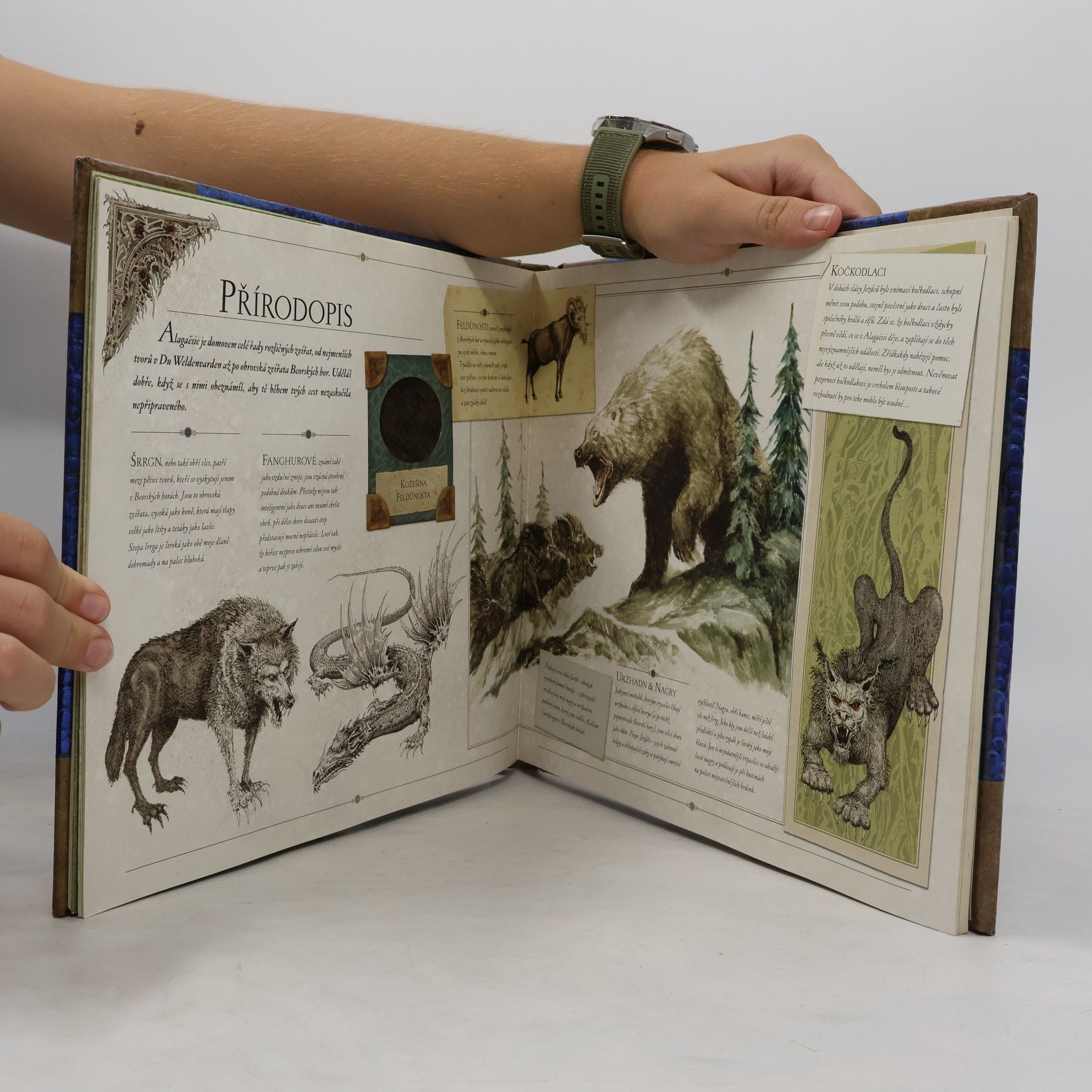 Christopher Paolini Eragon. Průvodce po Alagaësii