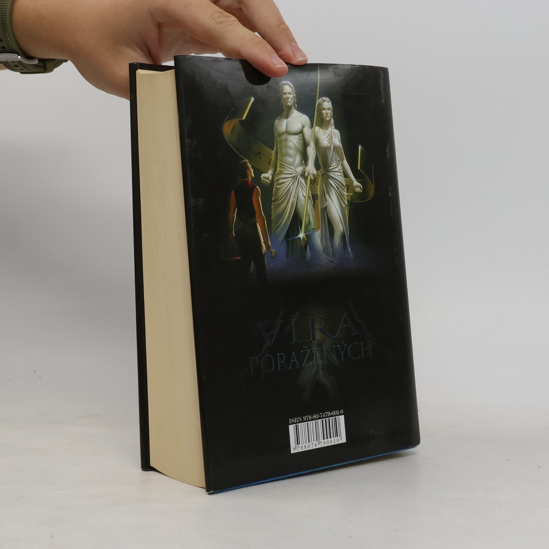 Terry Goodkind Víra poražených