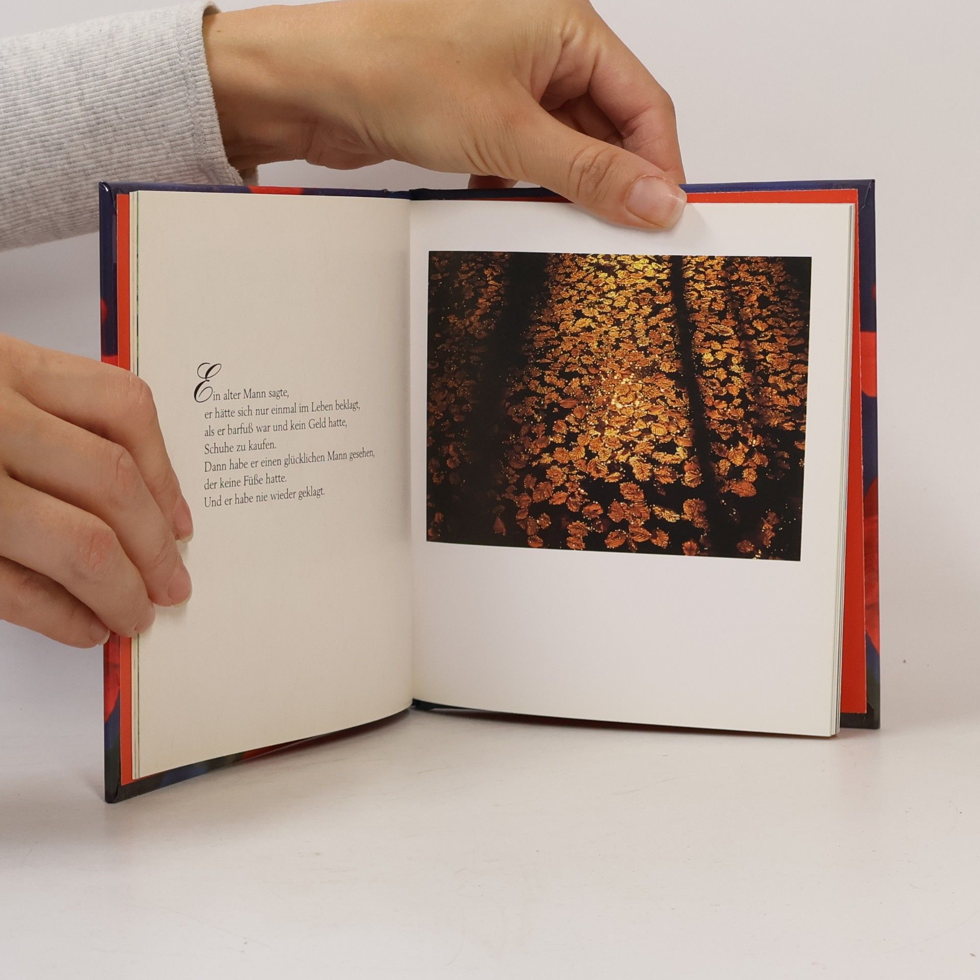 Anthony de Mello Momente des Glücks