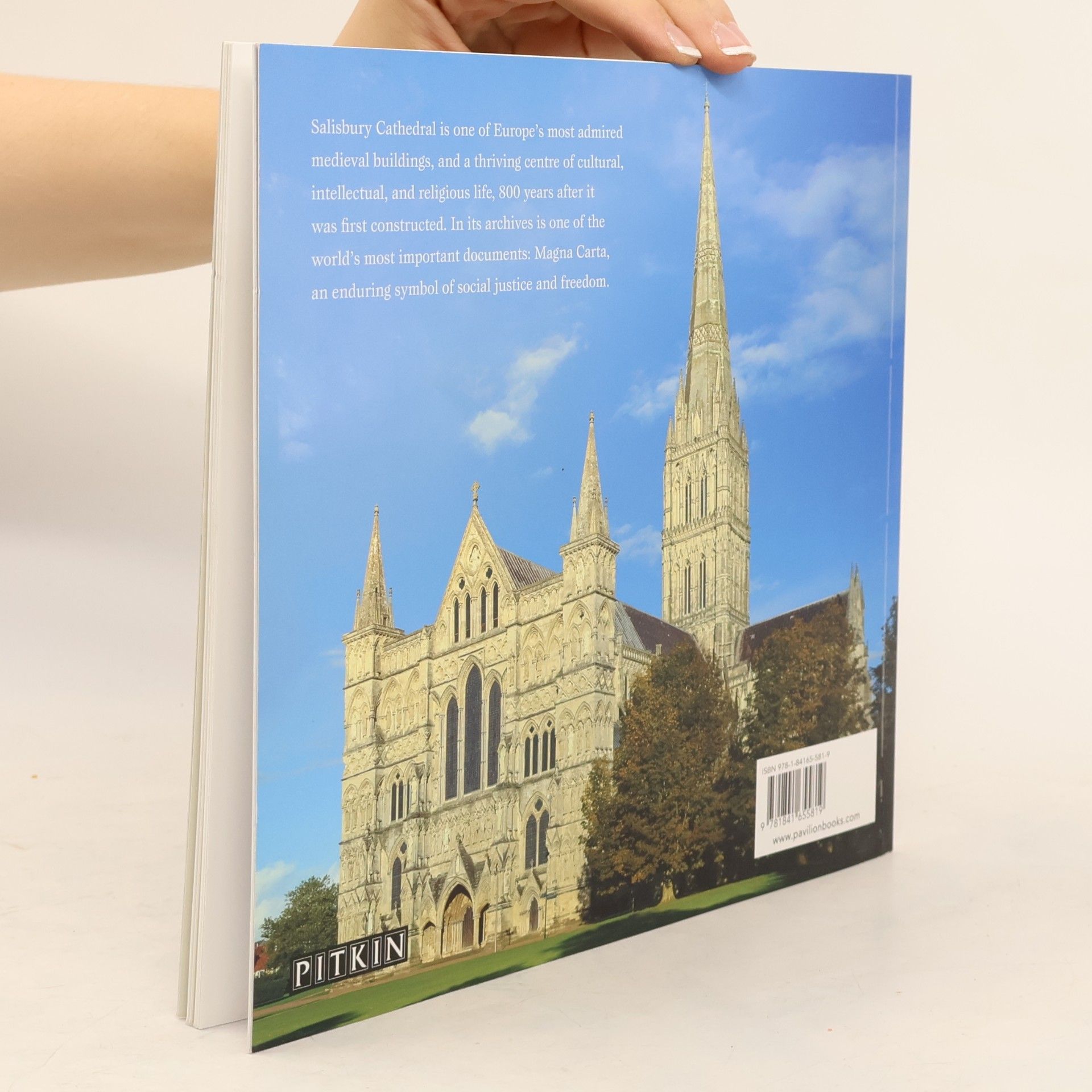 Sean McGlynn Magna Carta at Salisbury Cathedral