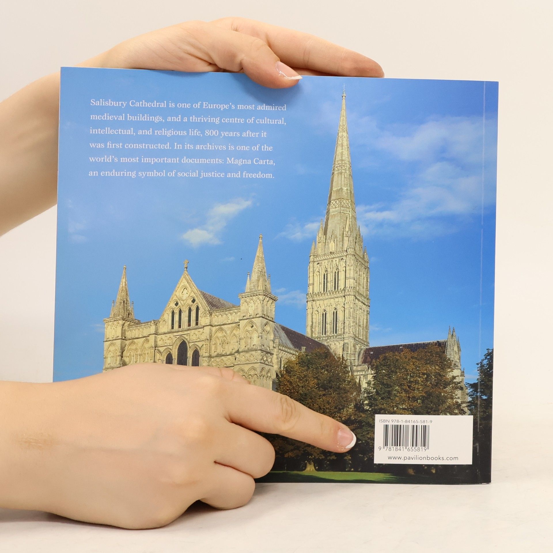 Sean McGlynn Magna Carta at Salisbury Cathedral