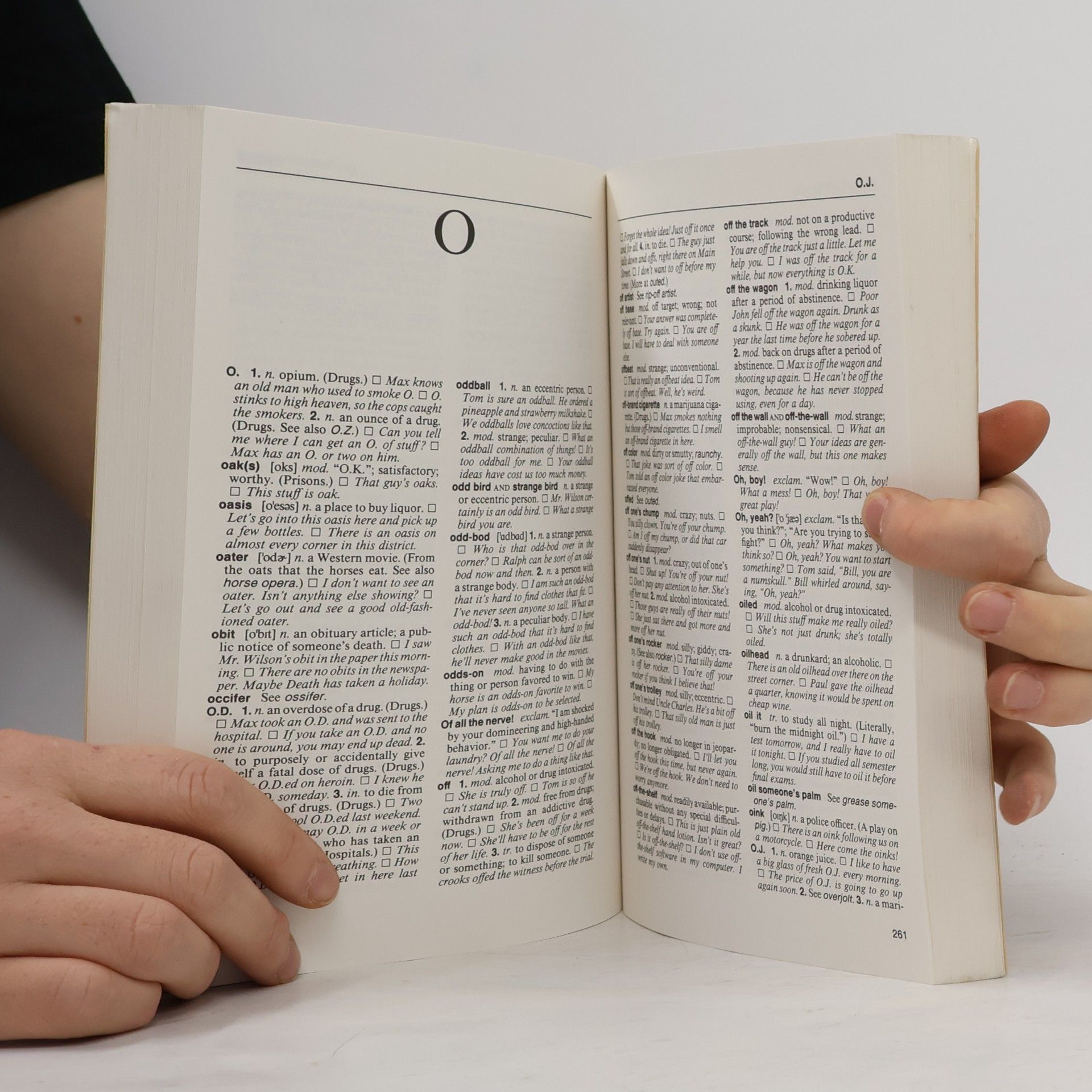 Linda SchinkeLlano NTC's dictionary of American slang and colloquial expressions