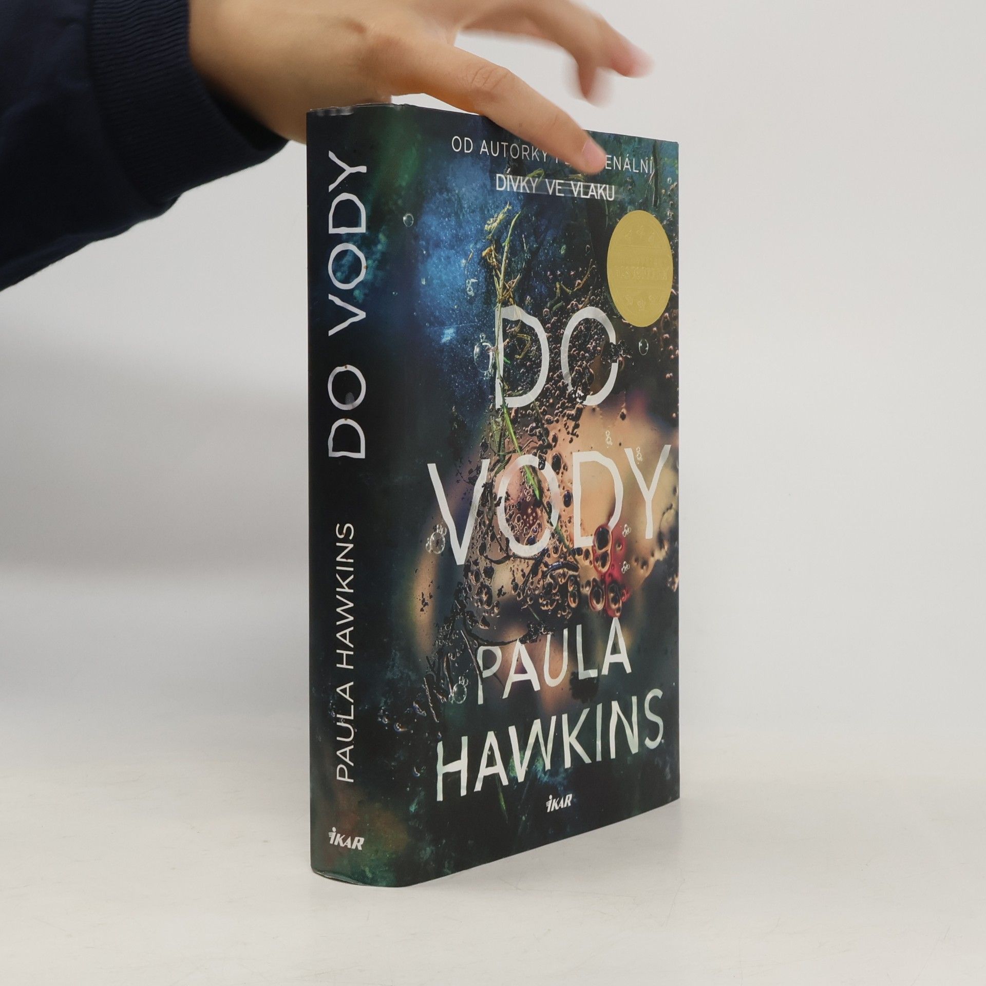 Paula Hawkins Do vody