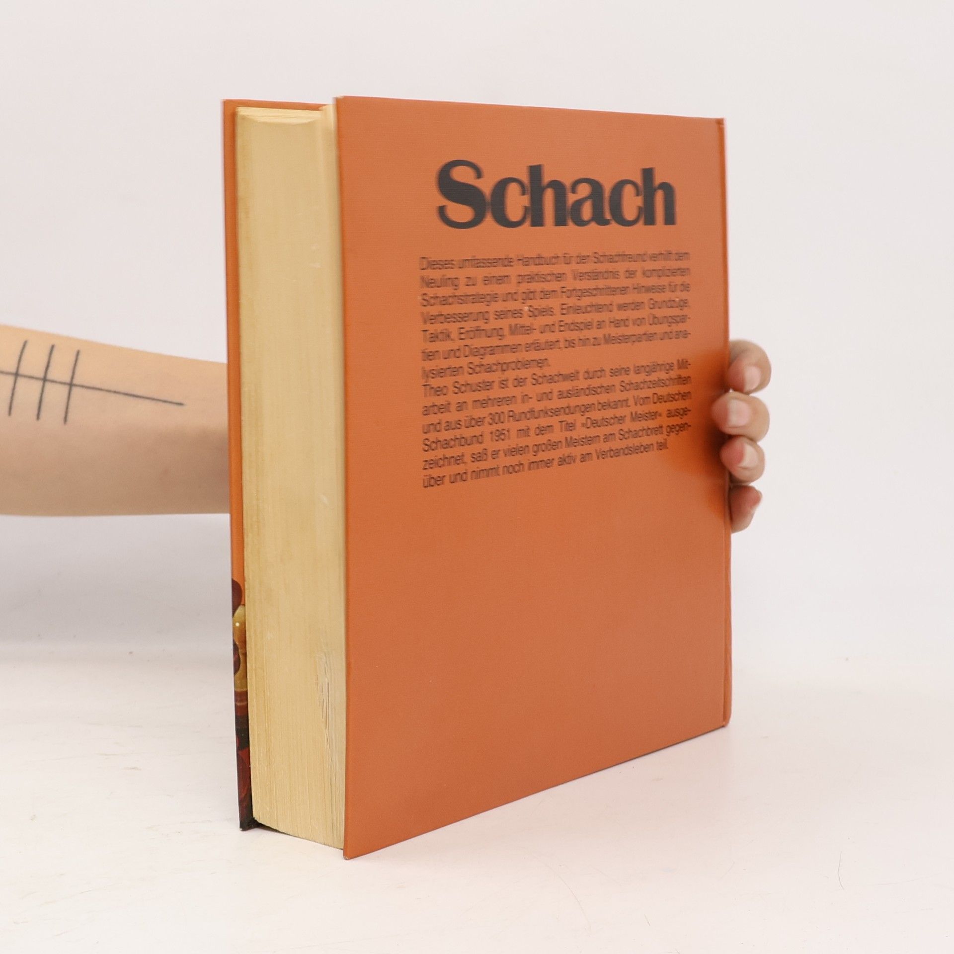 Theo Schuster Schach