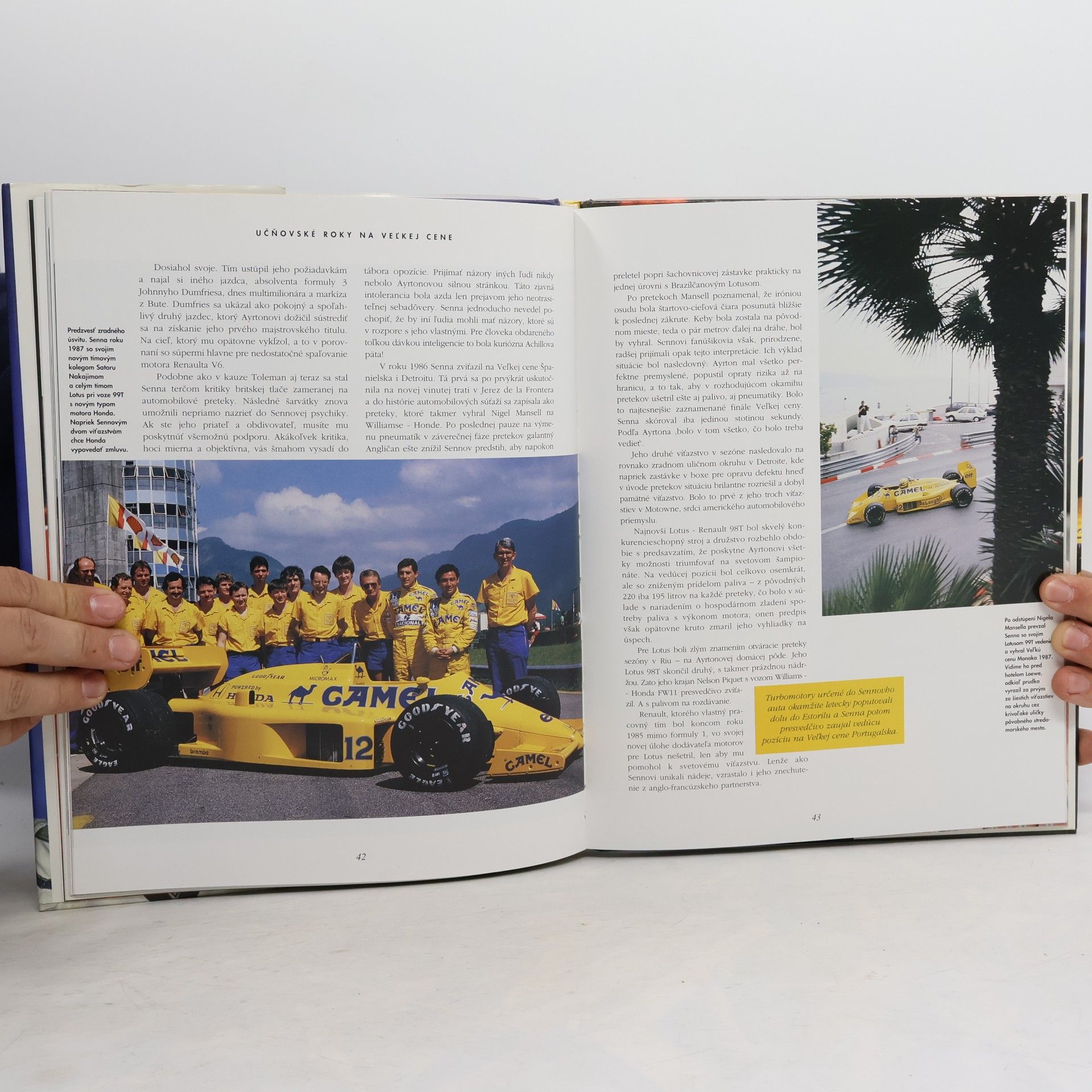 Alan Henry Ayrton Senna