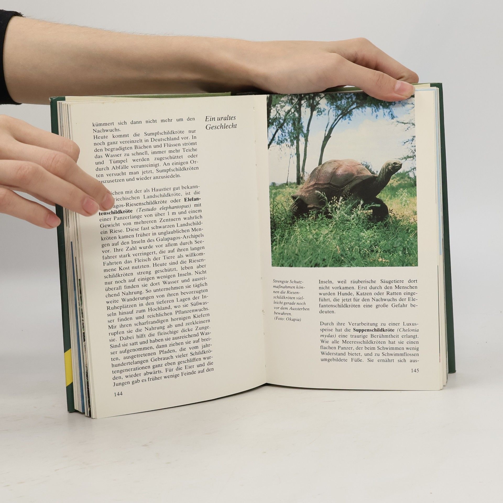 Otto von Frisch Loewes Tierlexikon