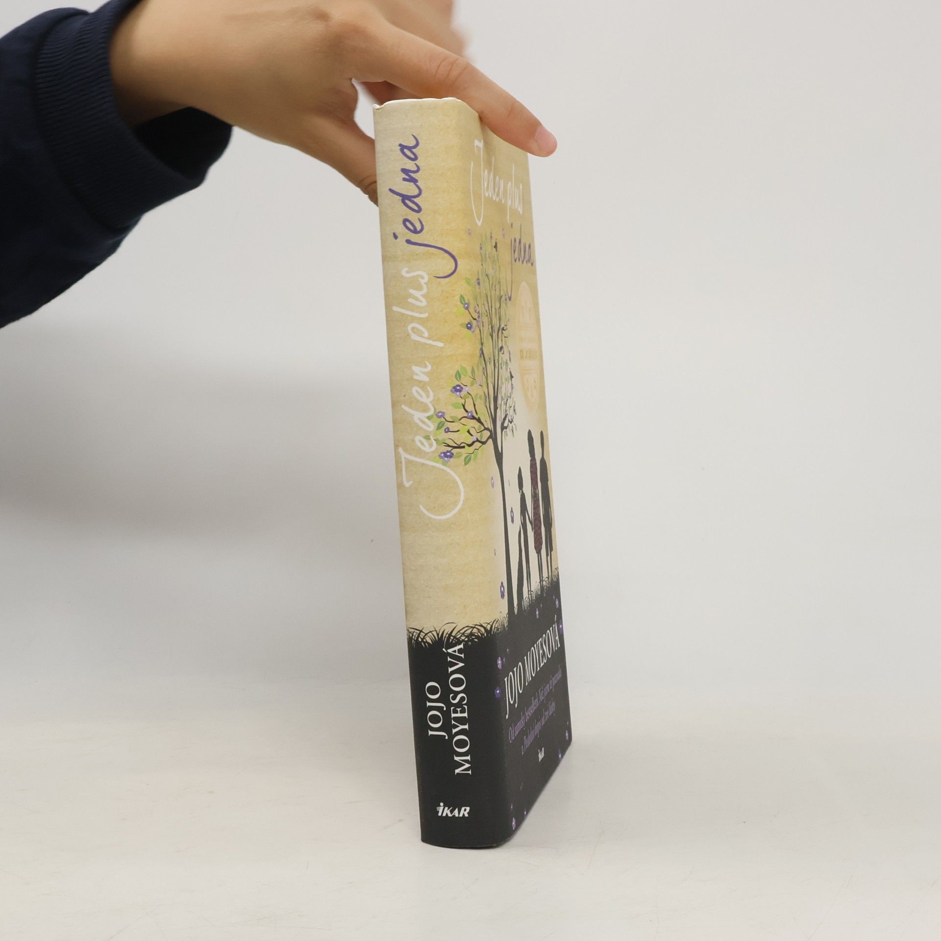 Jojo Moyes Jeden plus jedna