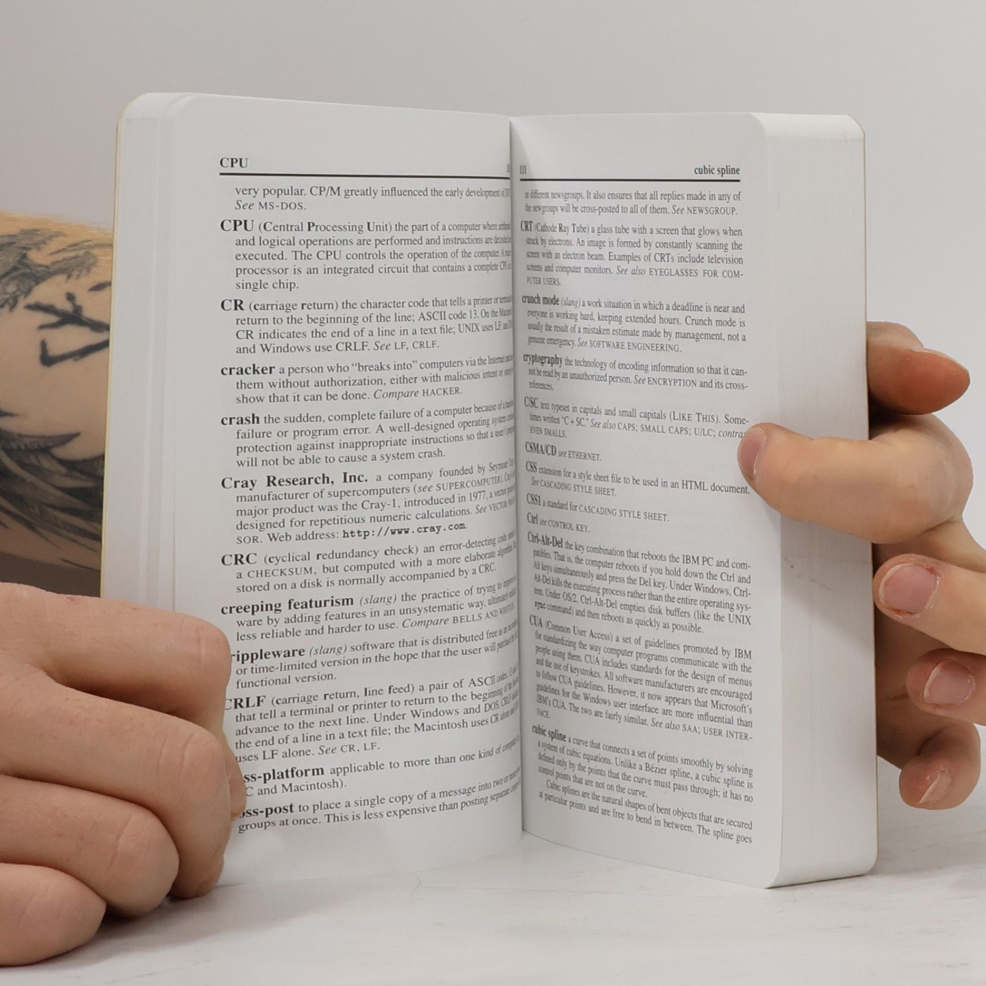 Douglas Downing Dictionary of Computer and Internet Terms - Sixth Edition