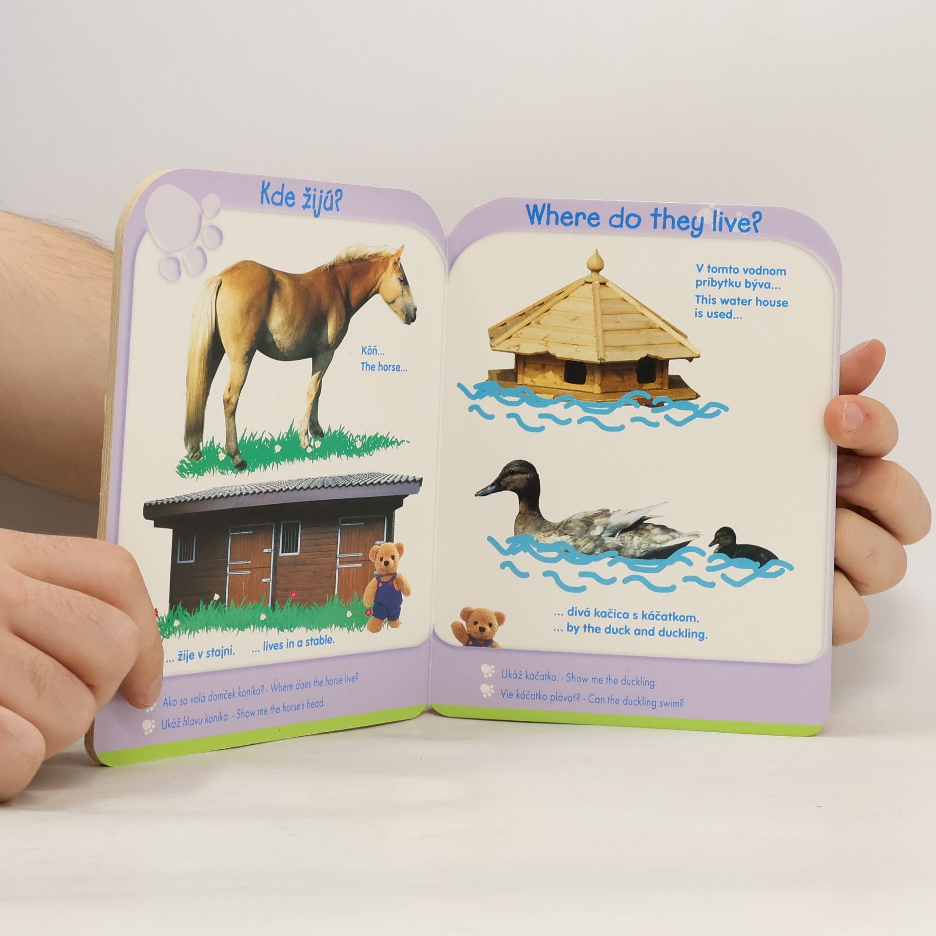 Various authors Zvieratá - Animals