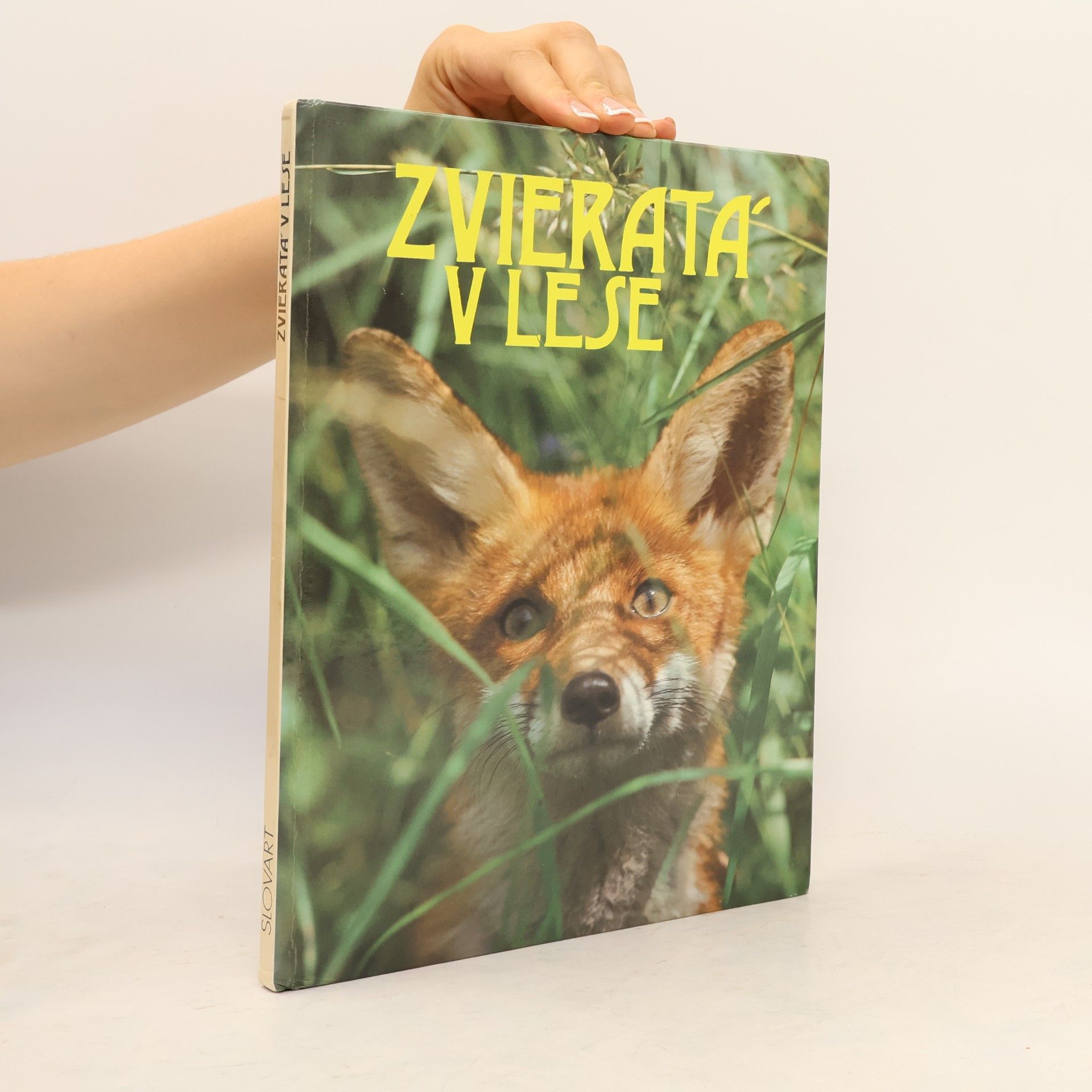 Milan Labuda Zvieratá v lese
