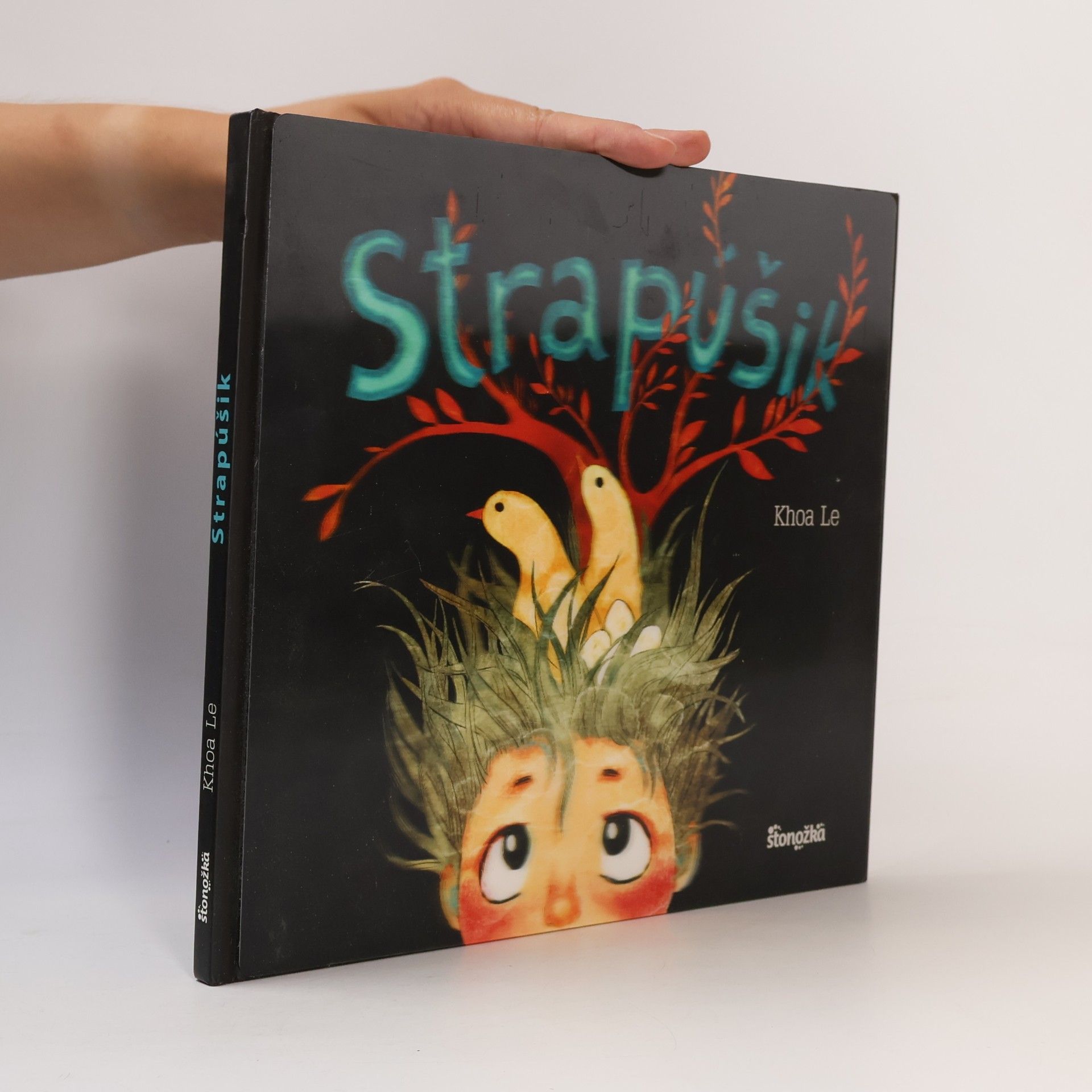 Khoa Le Strapúšik